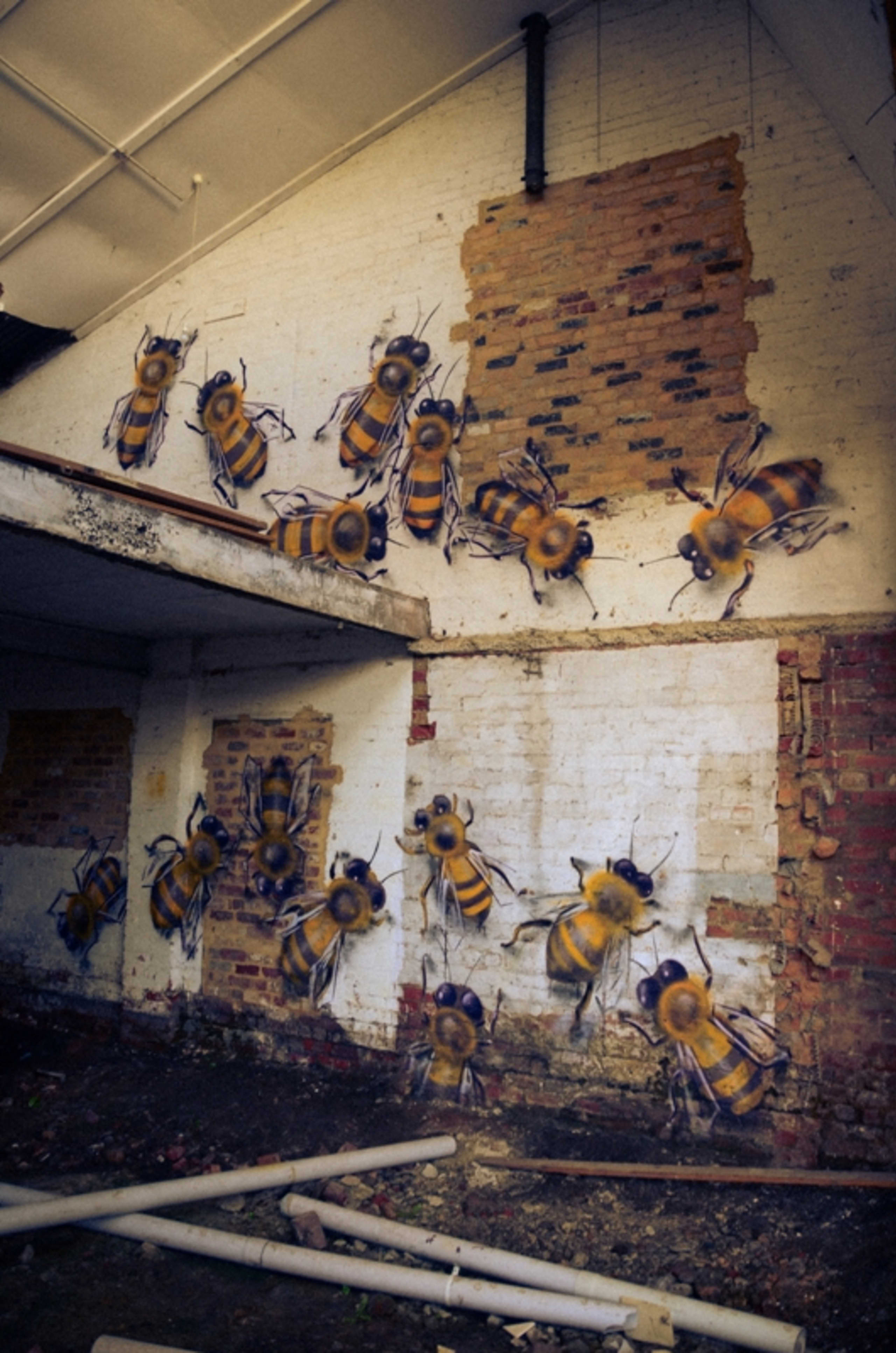Buzzing Life in Urban Decay