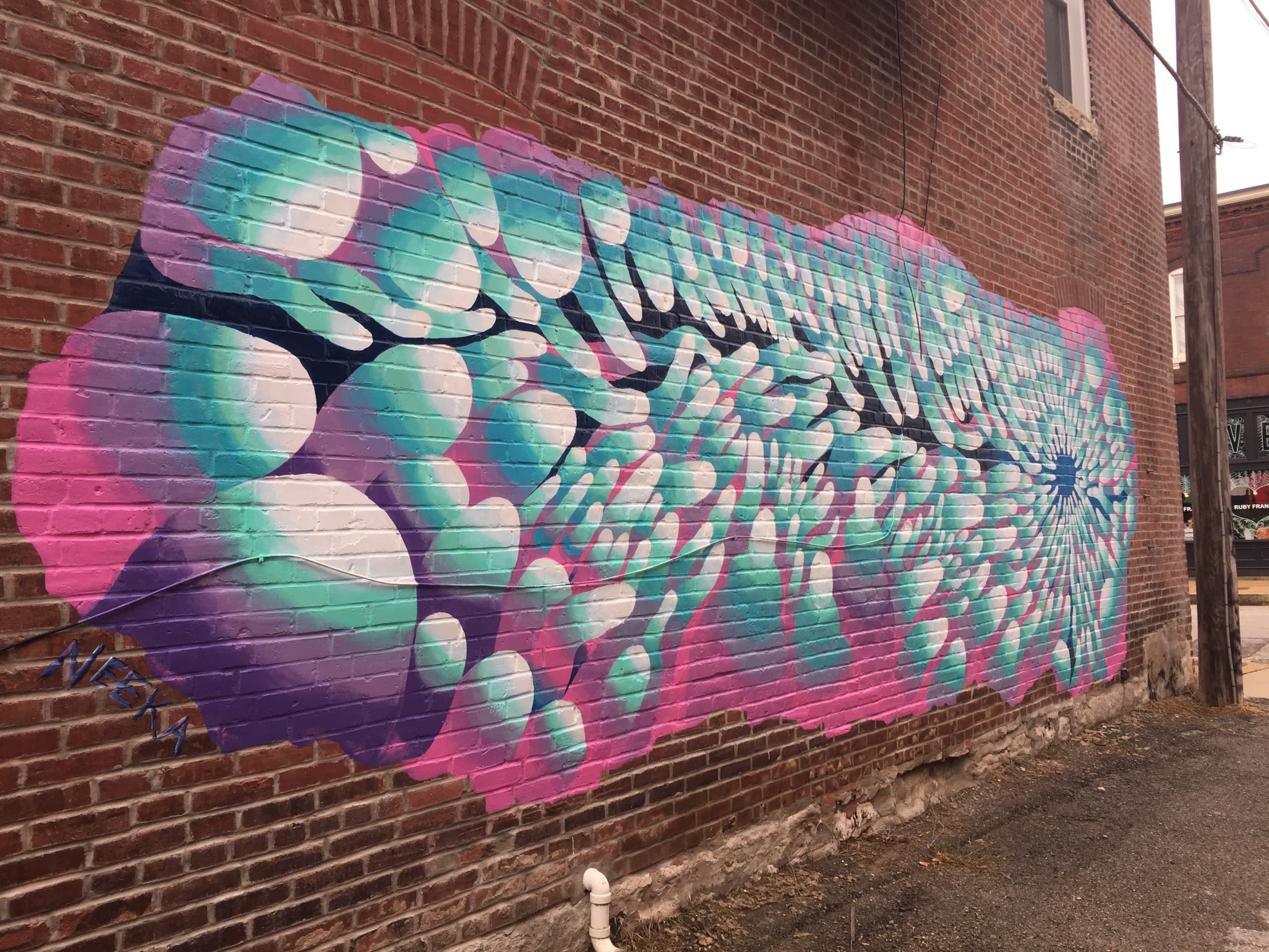 Ethereal Waves of Color and Light