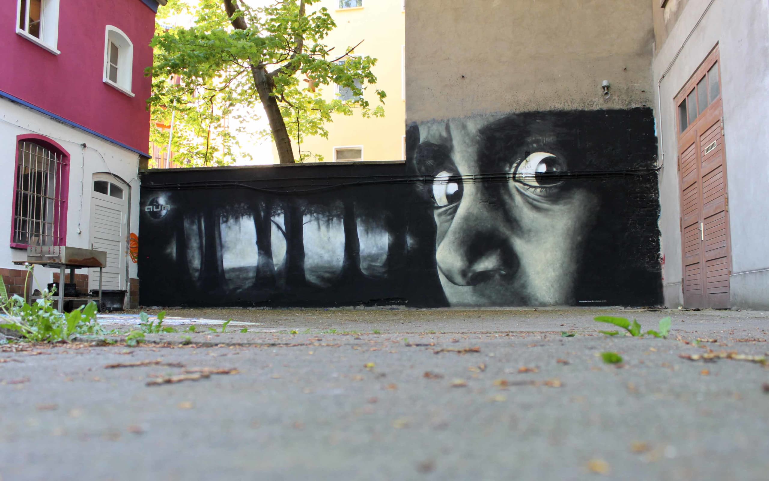 Eyes of the Unseen Shadows