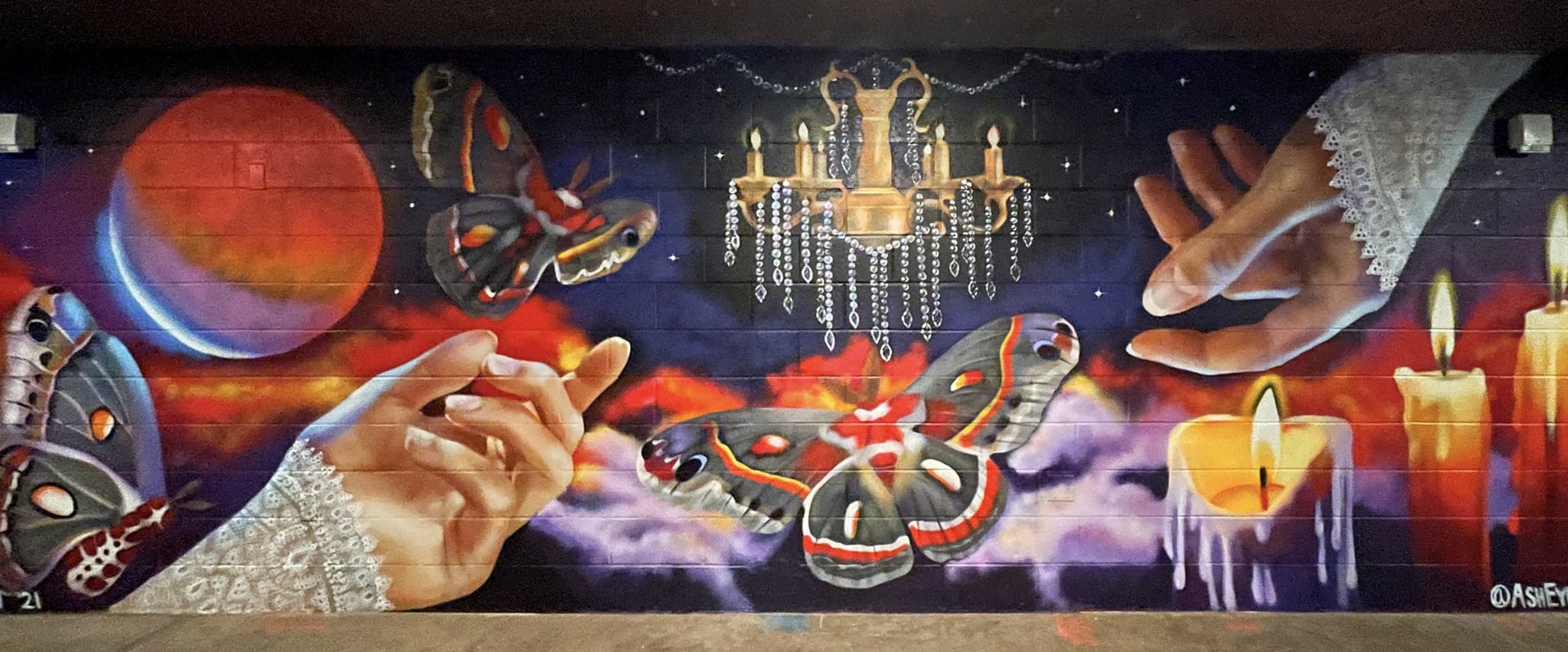 Moth Mural