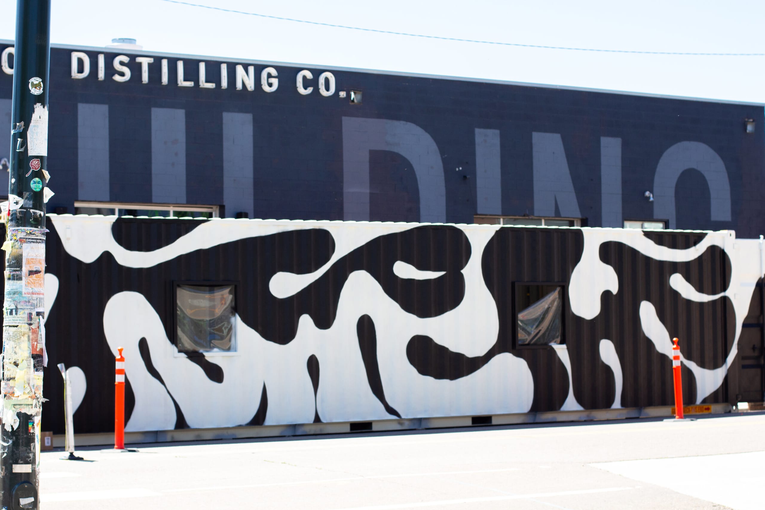 Fluid Shadows of Urban Expression