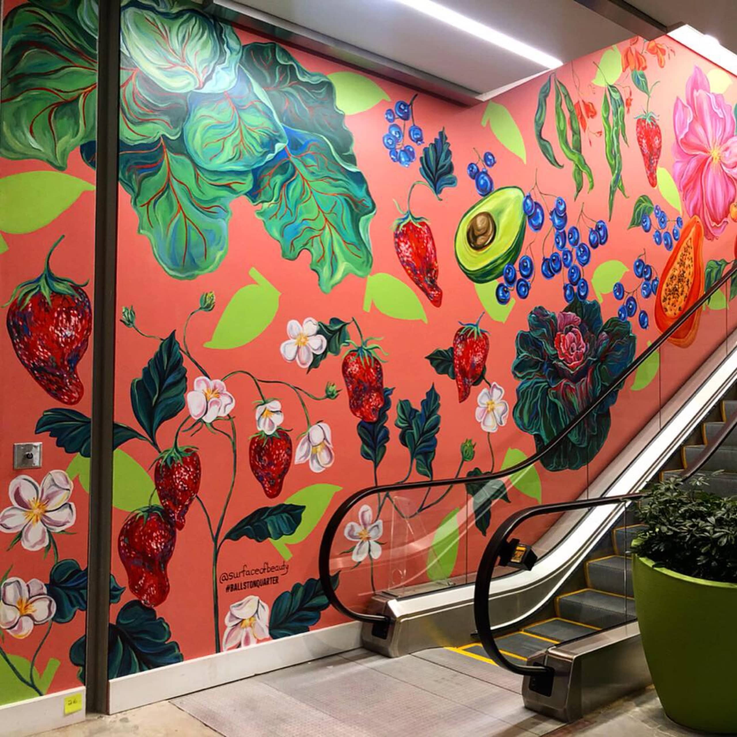 Fruits to Flowers