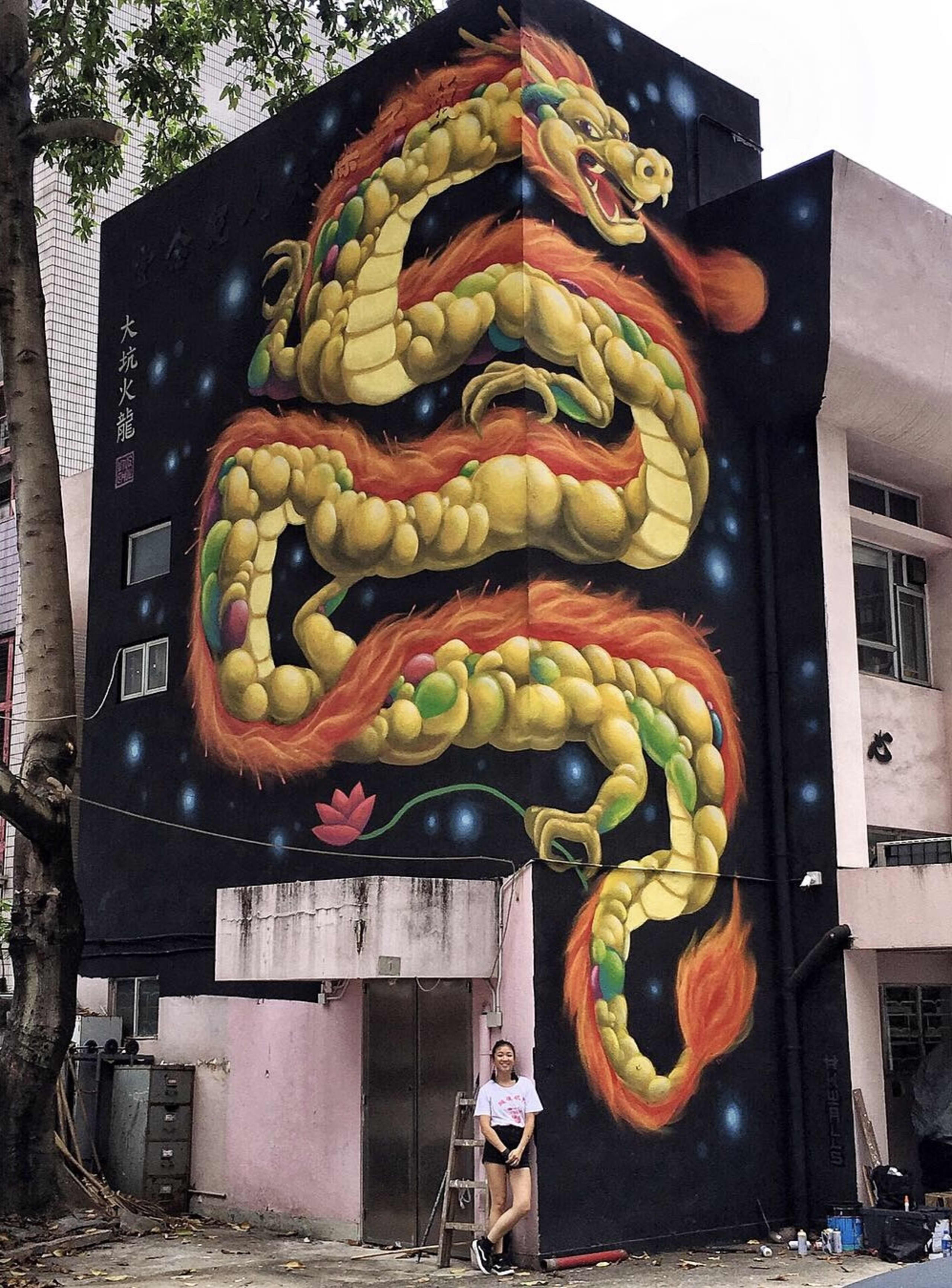 Fire Dragon