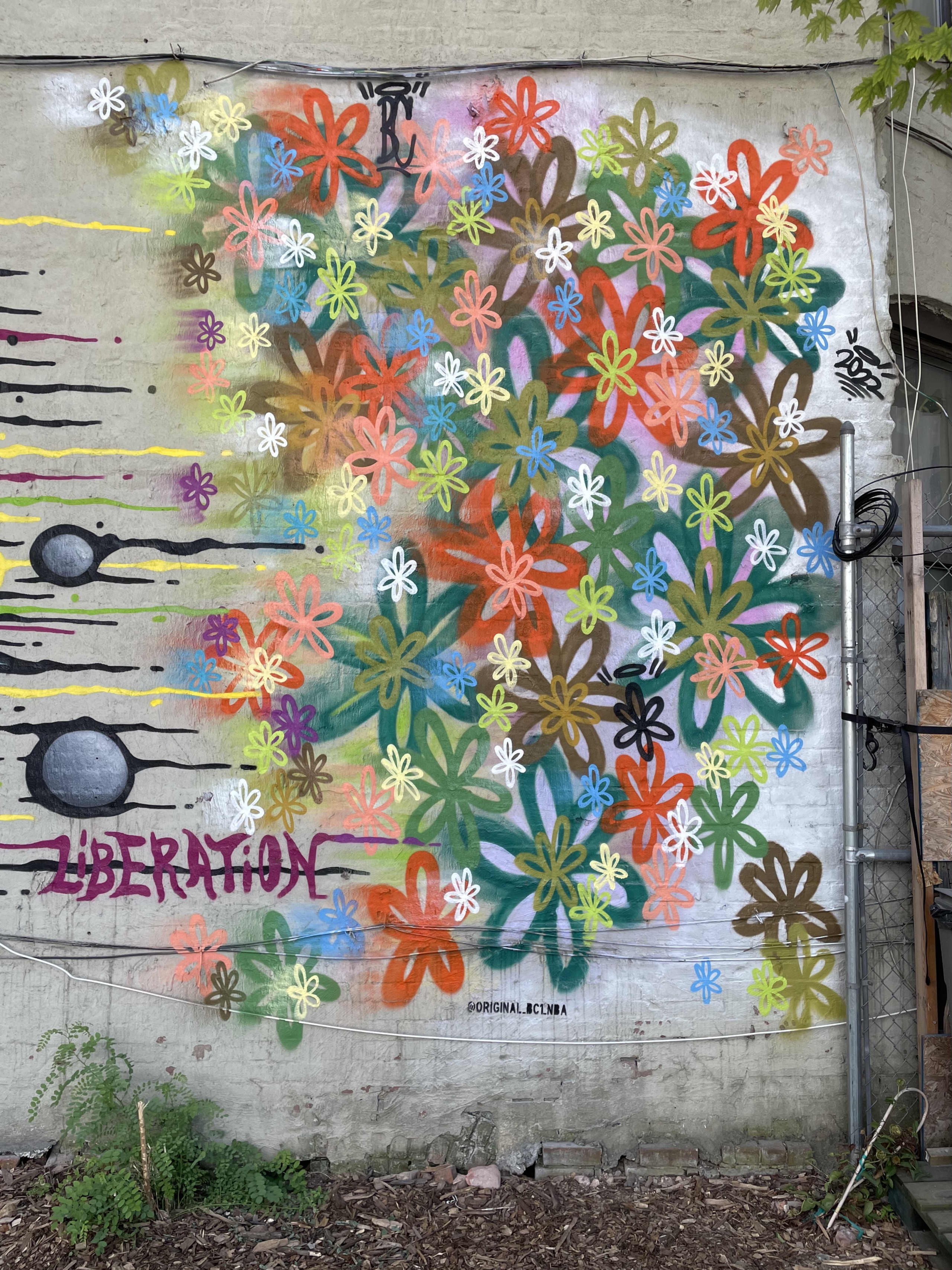 El Coqui Liberation Garden