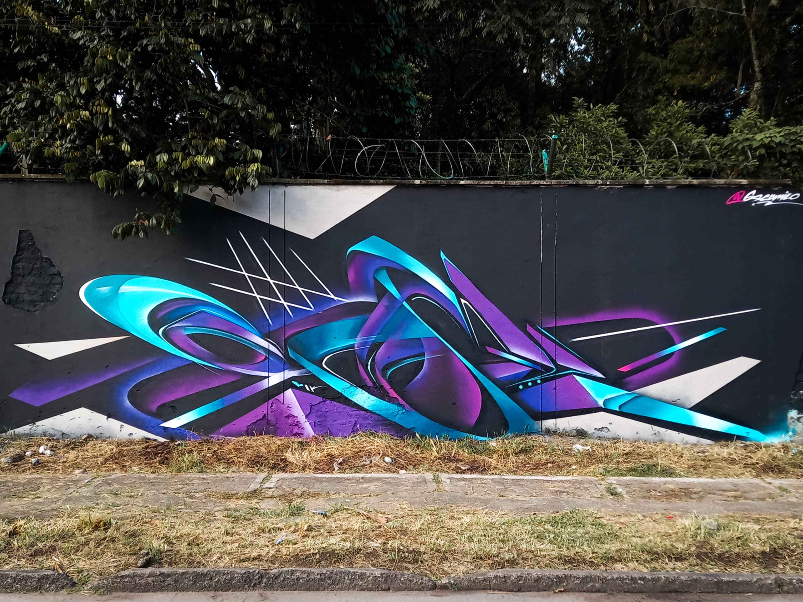 Fluid Dynamics of Color and Form