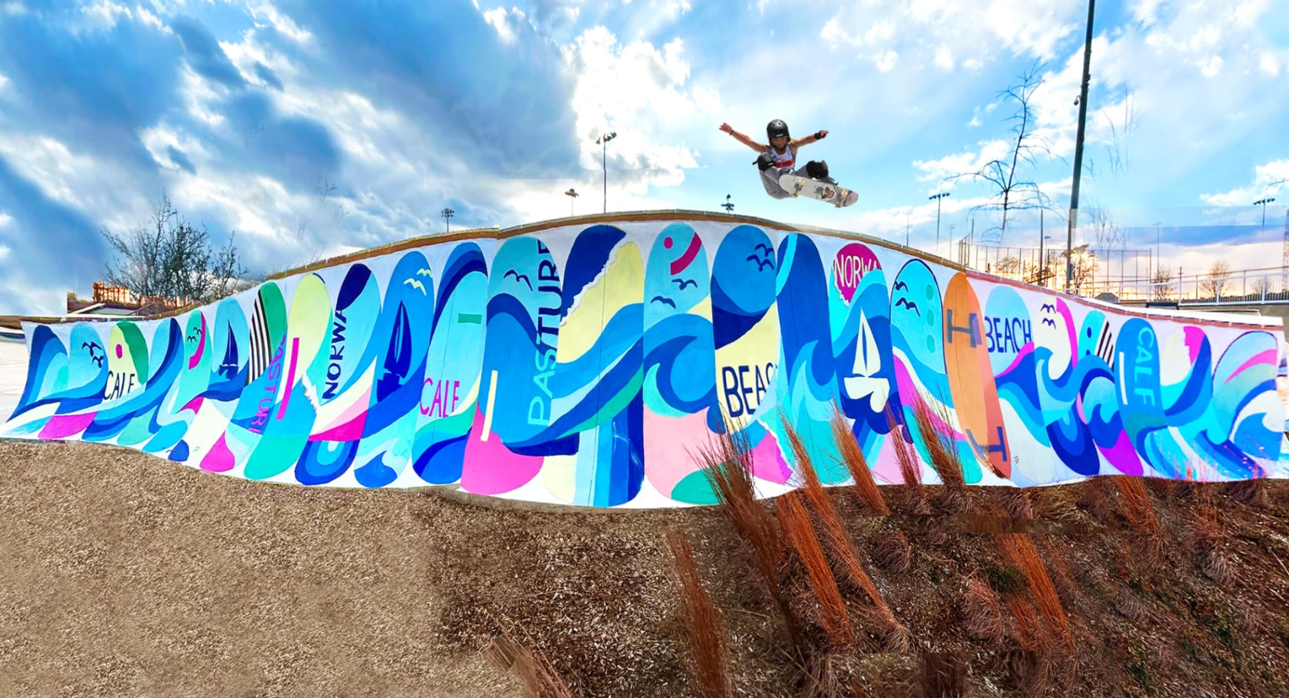 Beach Skatepark Mural