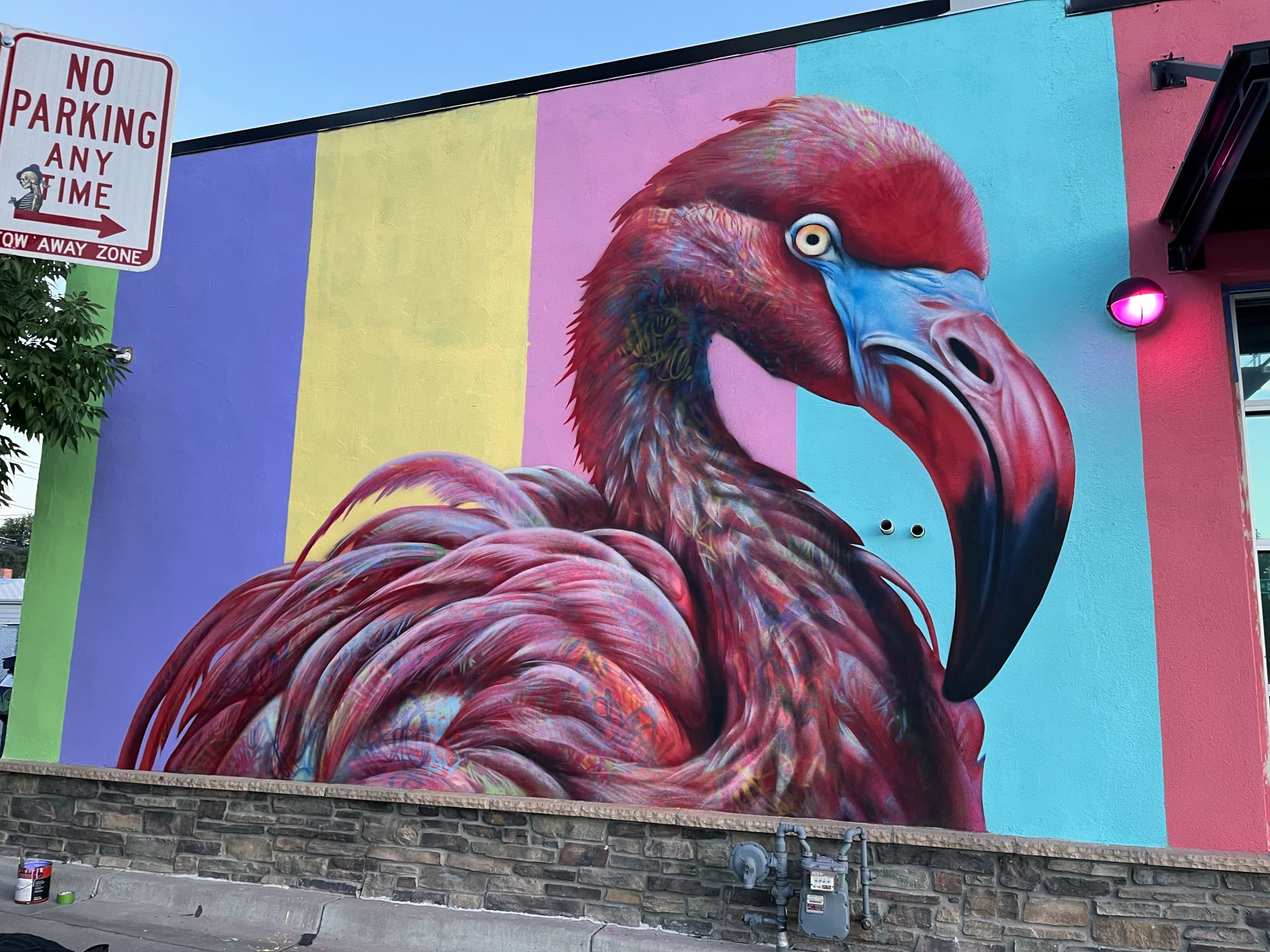 Vibrant Elegance of the Flamingo's Gaze