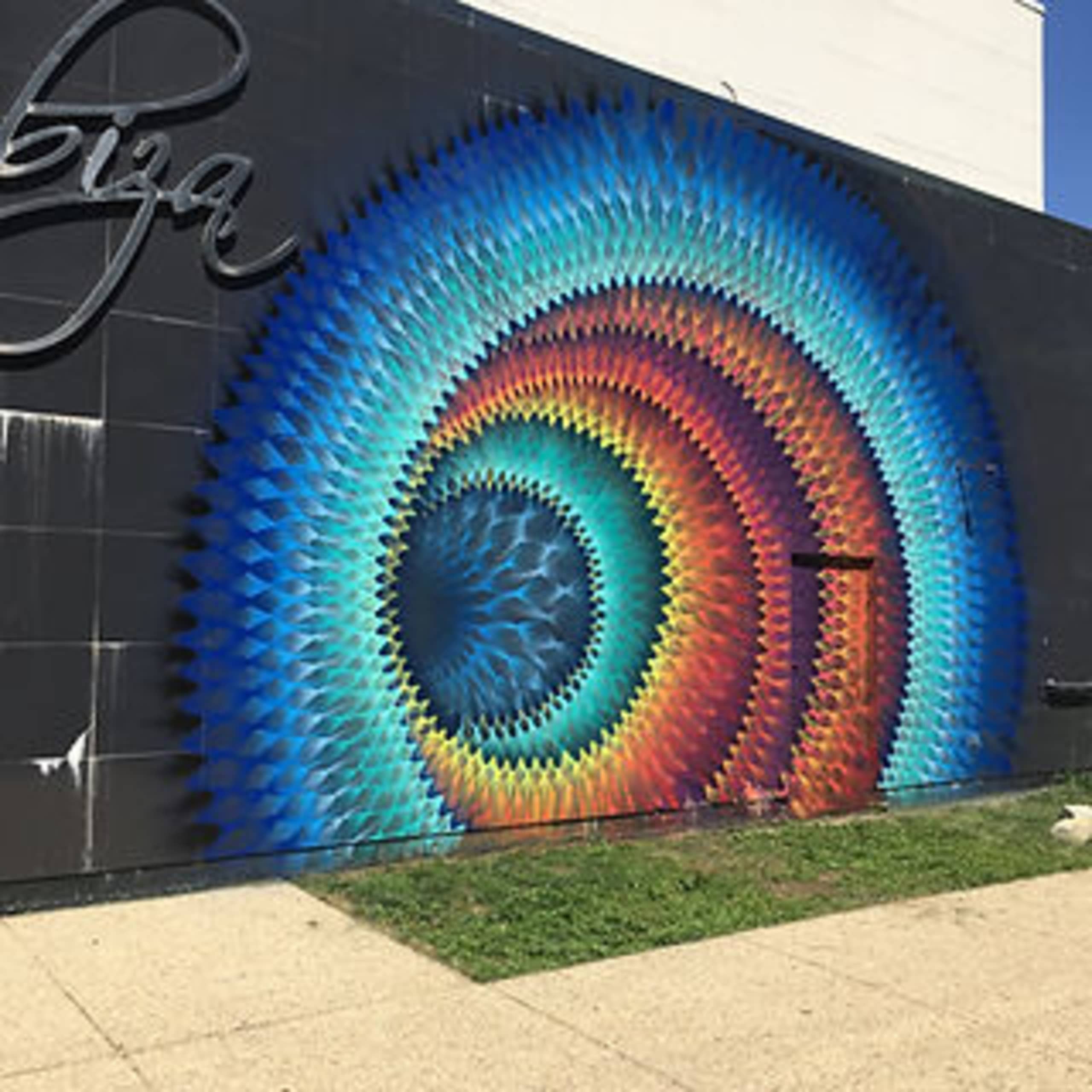 Vibrant Whirl of Color and Motion