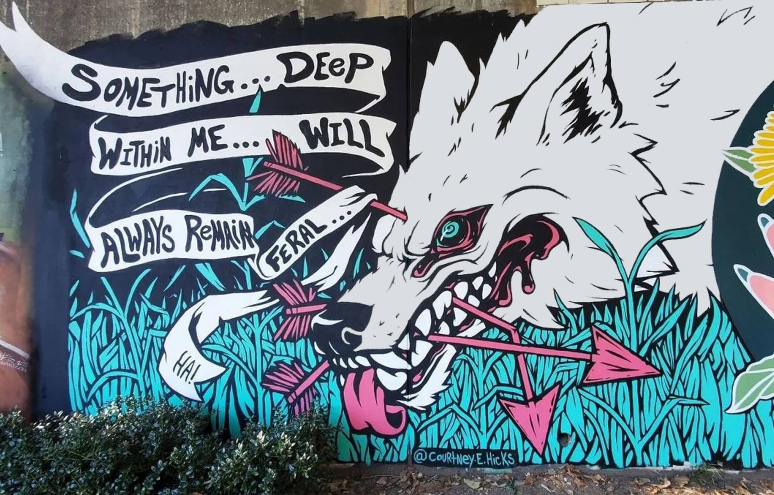Feral