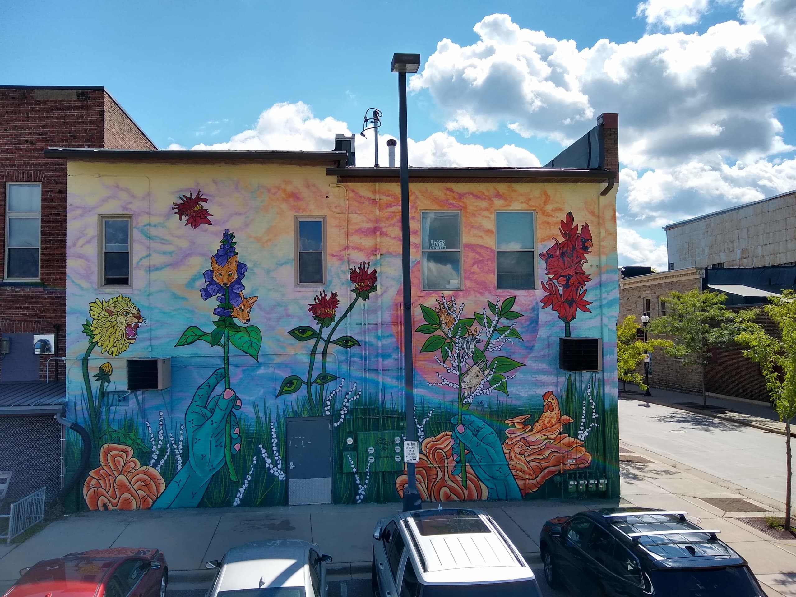 Native Wisconsin Plants 