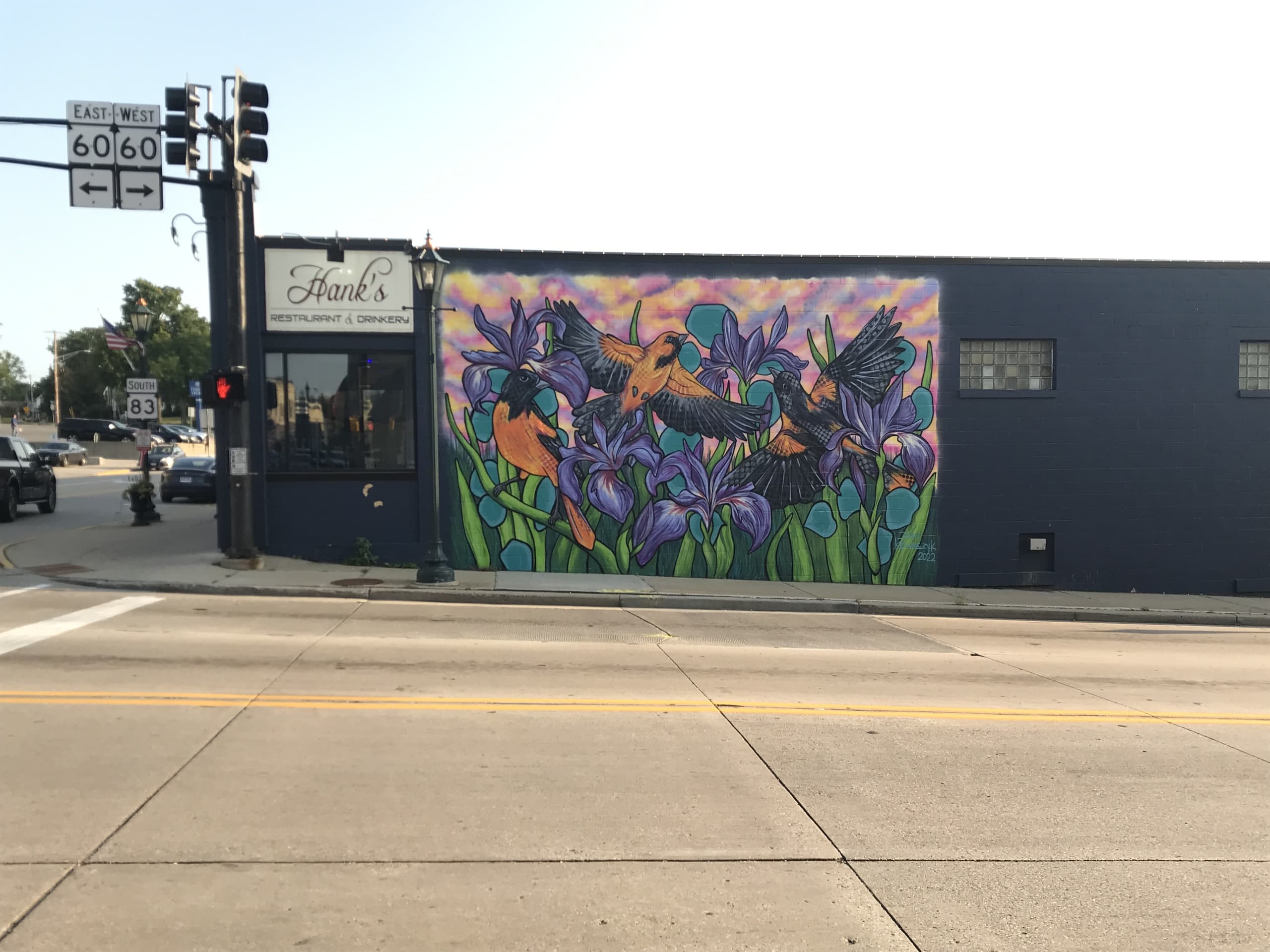 Orioles and Irises 