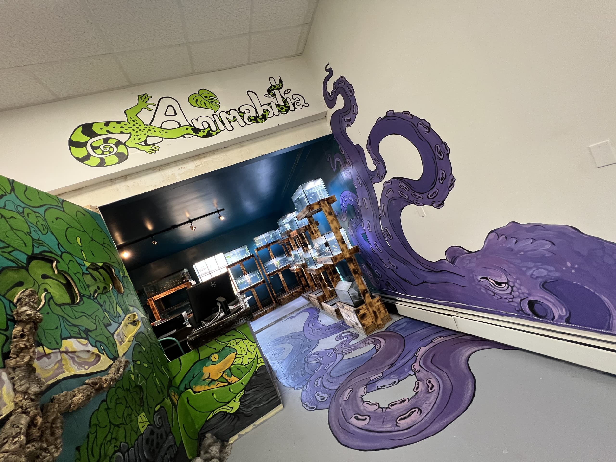 World of Animabilia