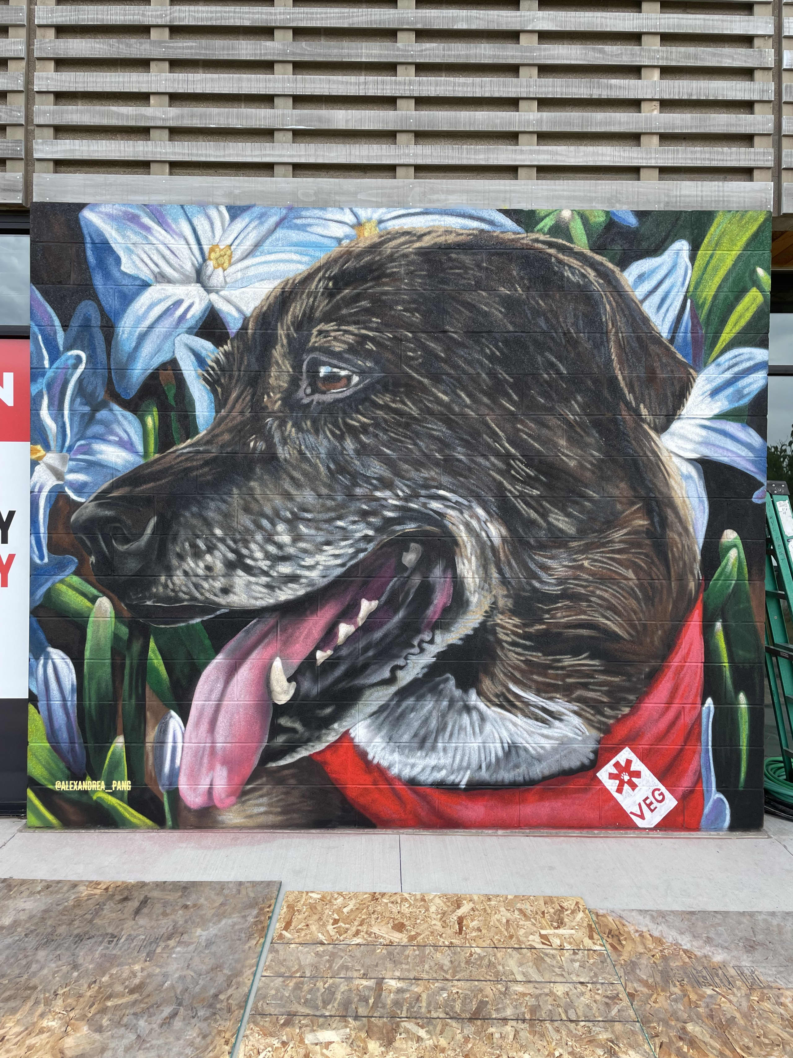 Benson