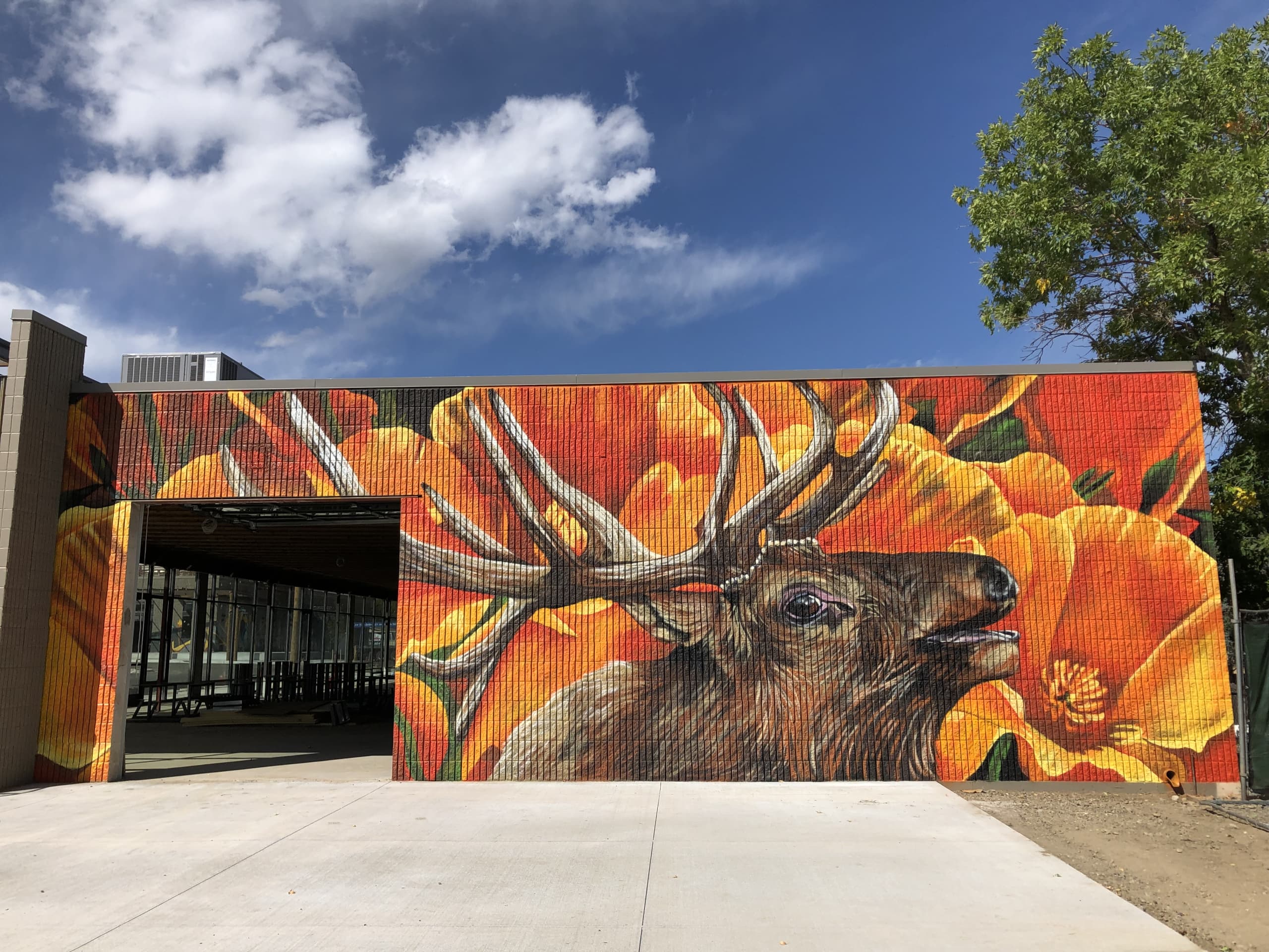 Poppied Elk