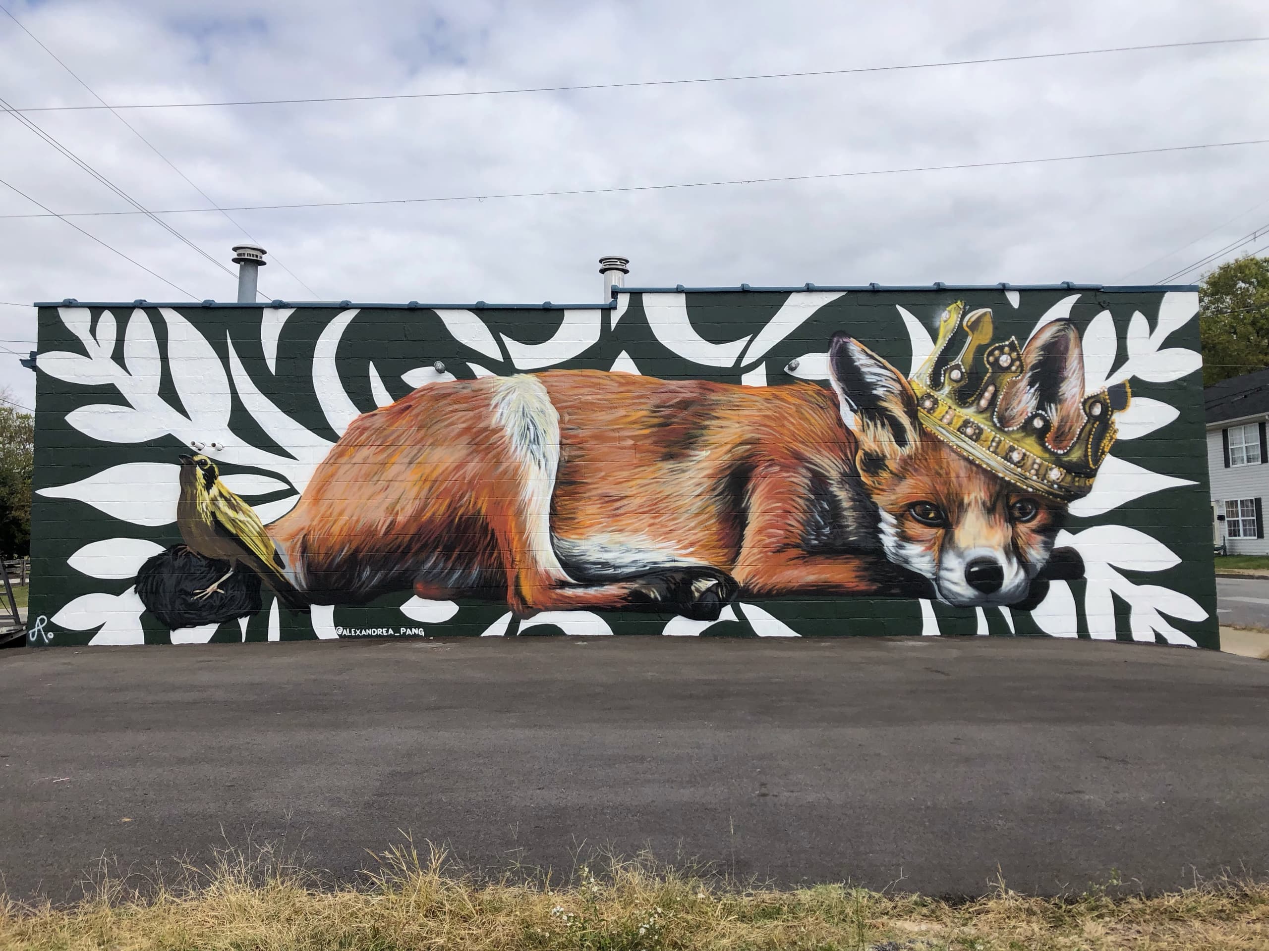 The Fox King