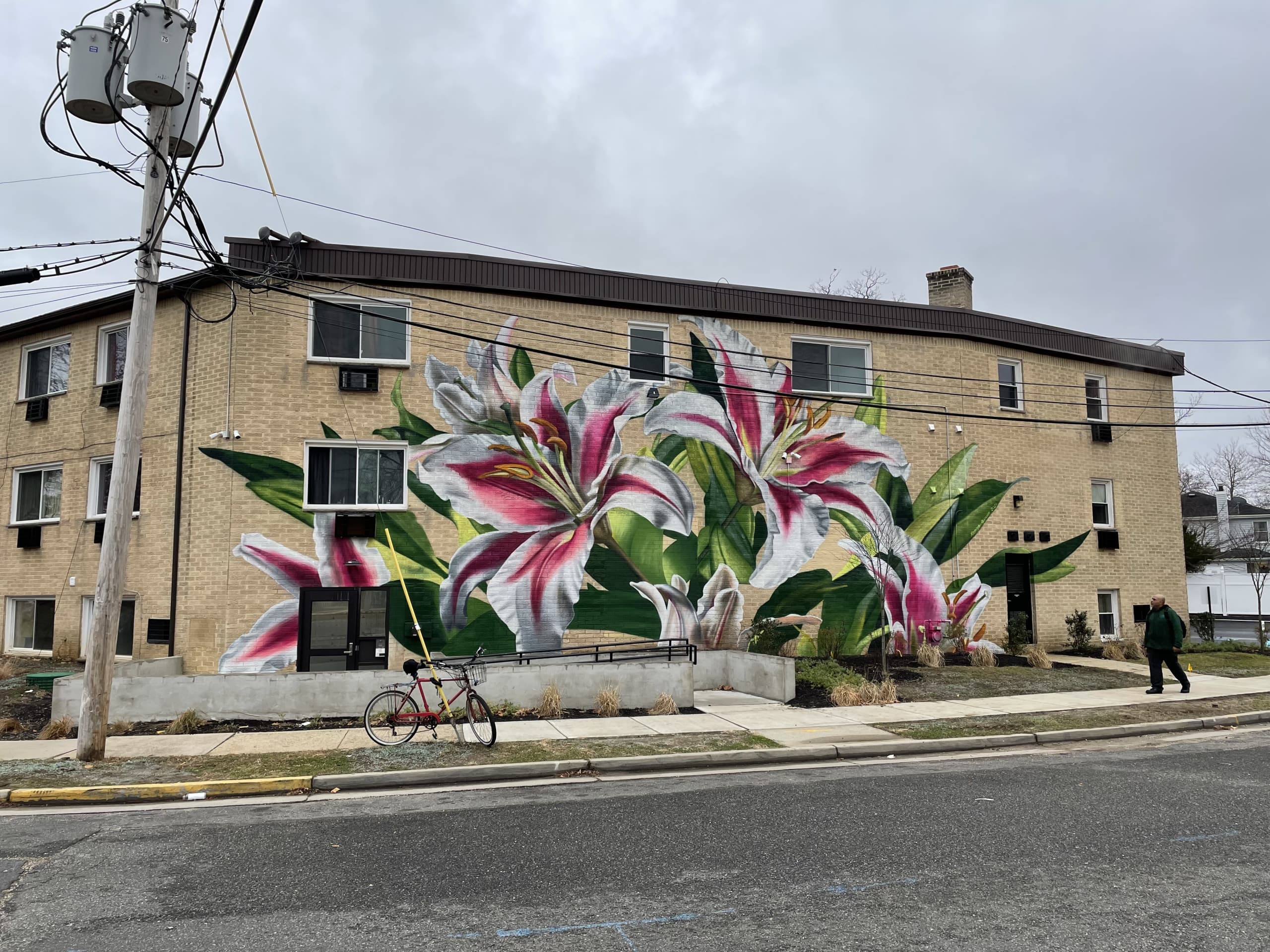 Blooming Resilience in Urban Landscapes