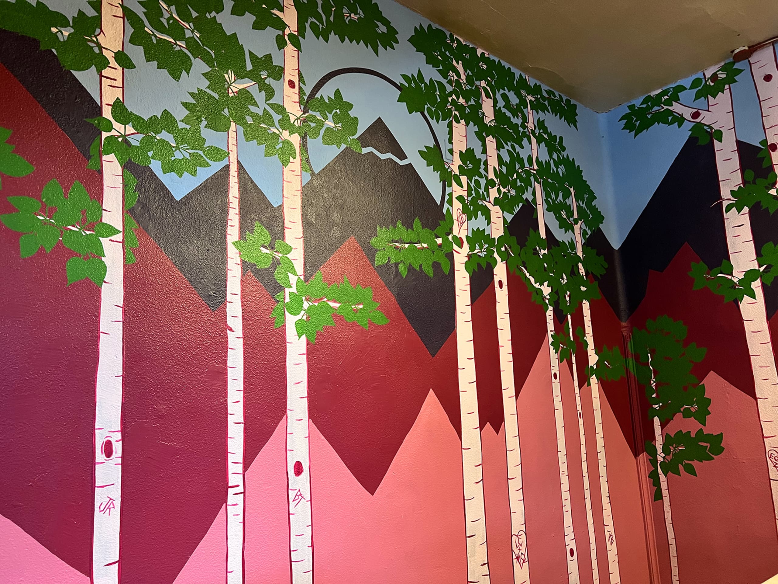 Aspen Trees and Mountains
