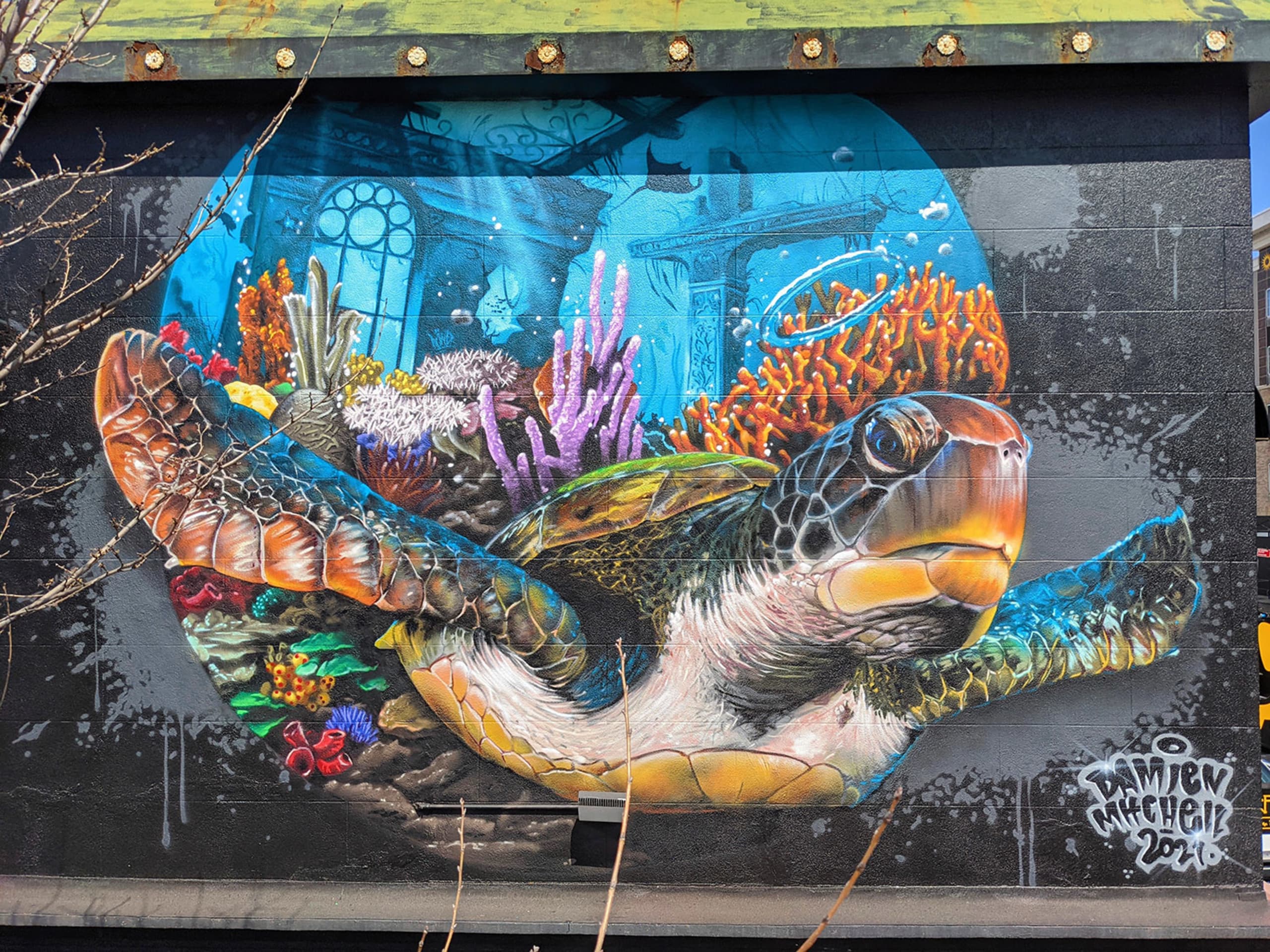 Surfish