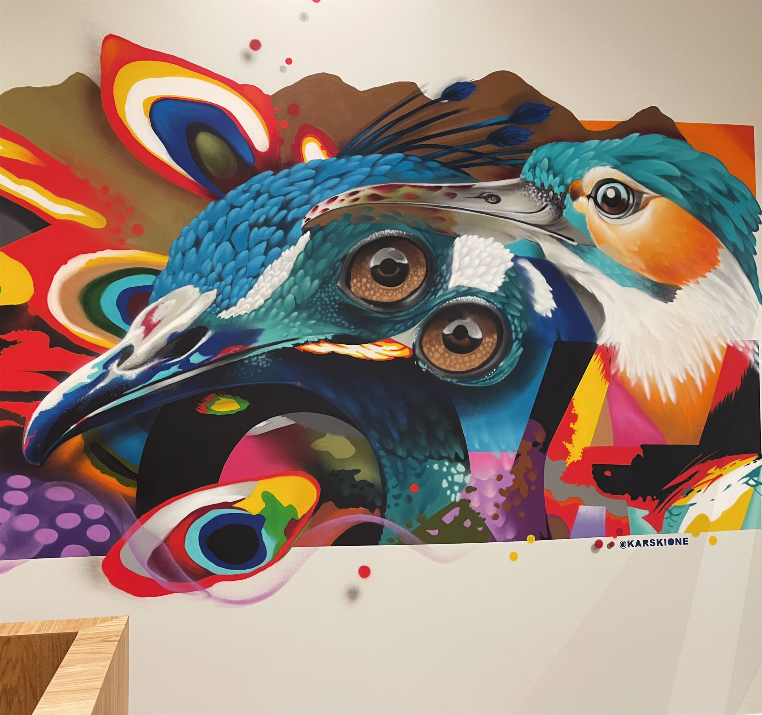 Birds of paradise