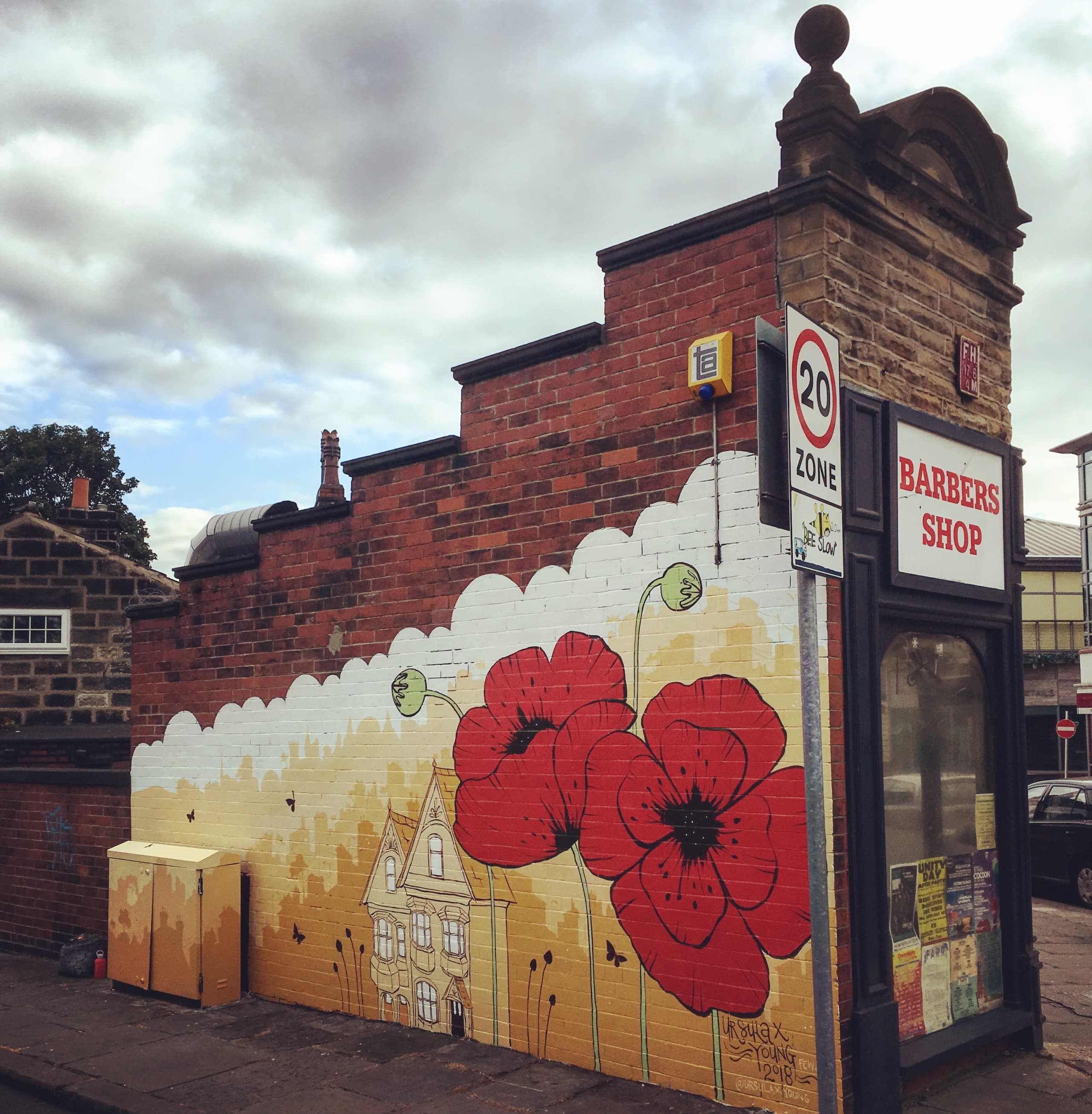Poppy Wall
