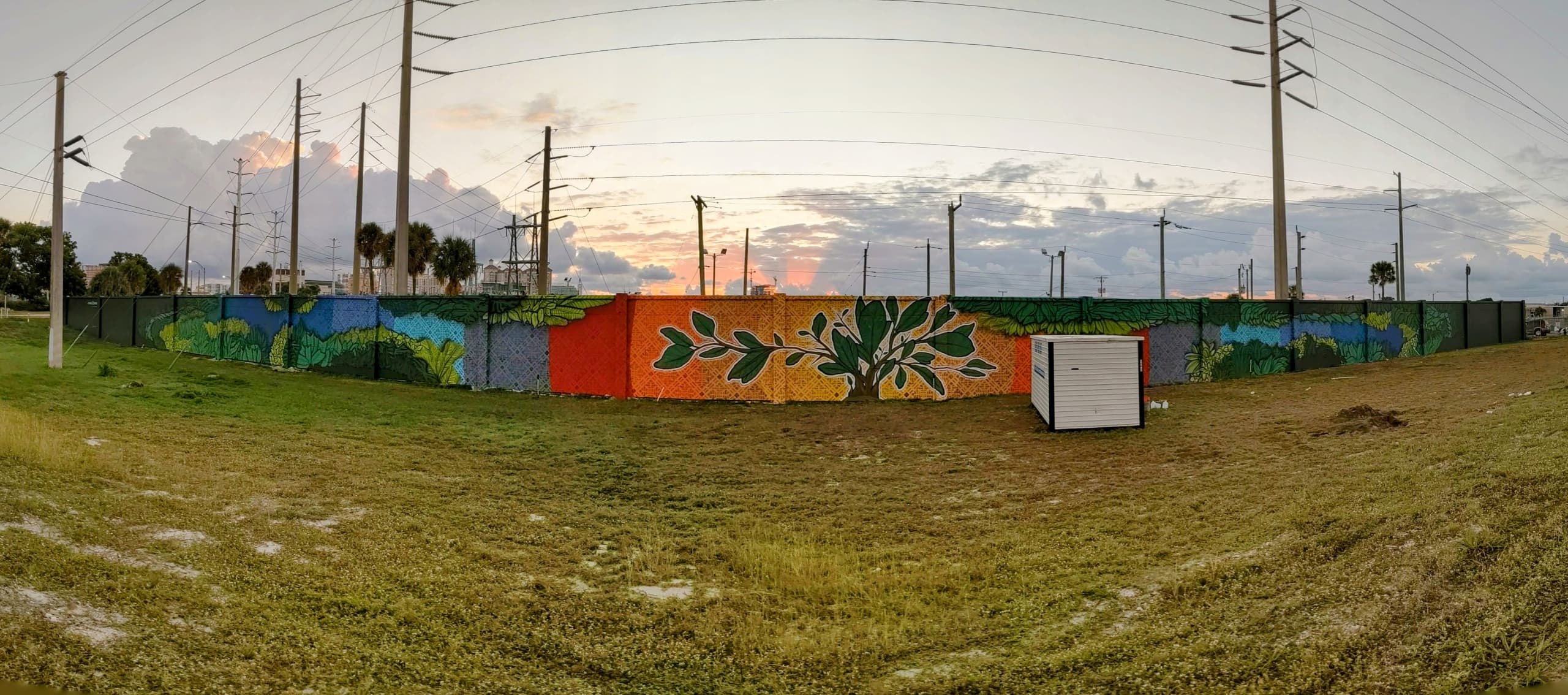 Florida Flora