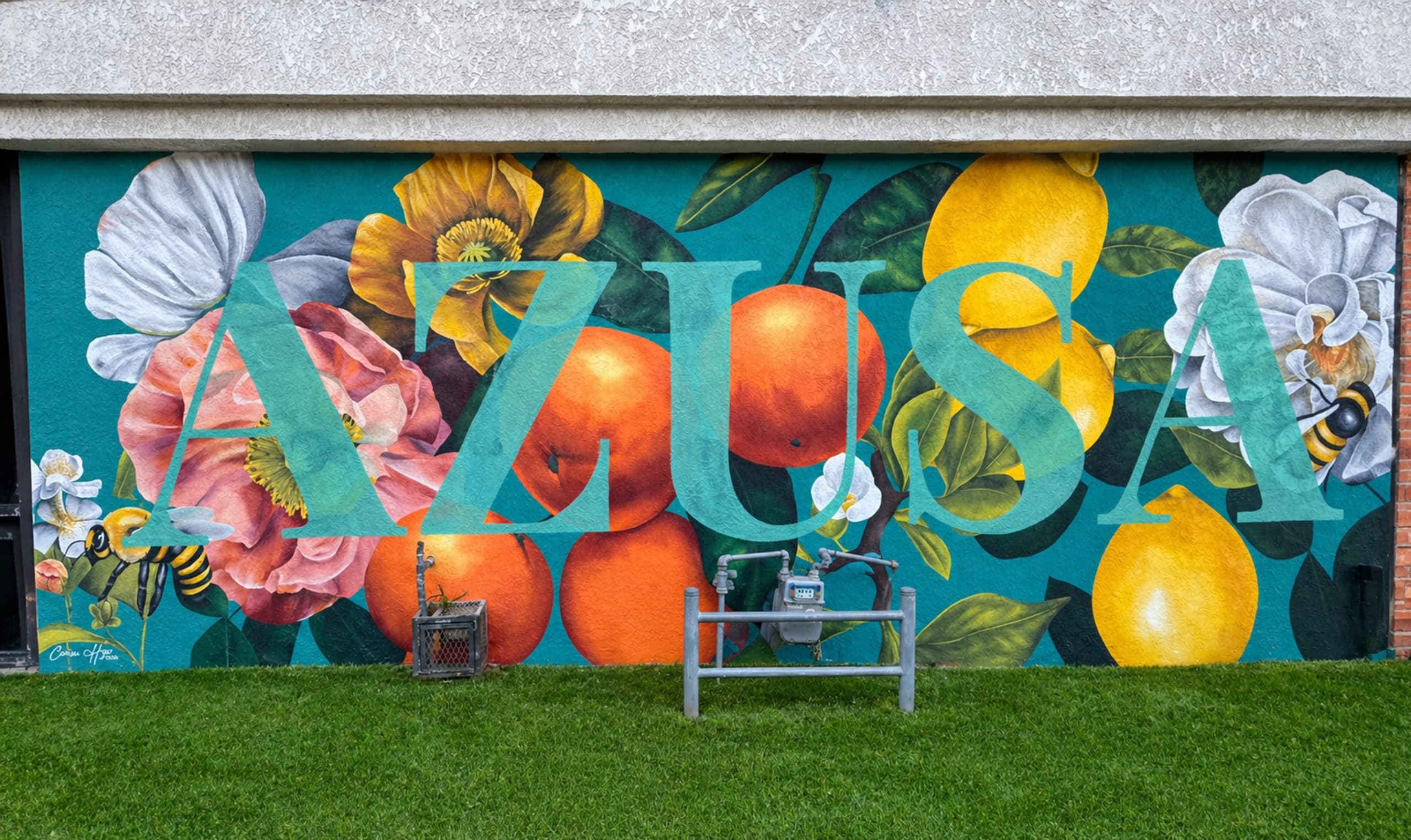 Azusa Yogurtland Mural 
