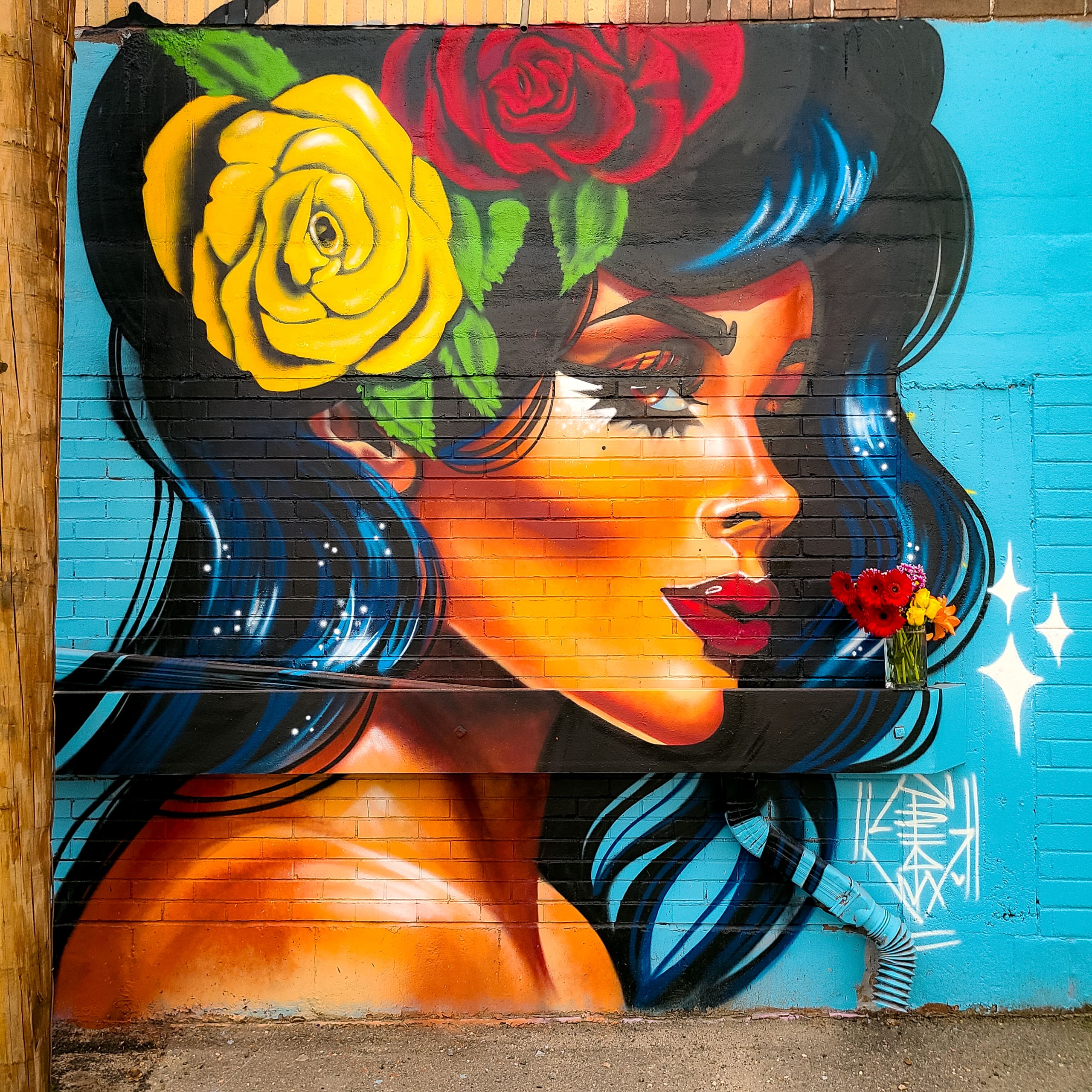 Radiance of Roses and Bold Beauty