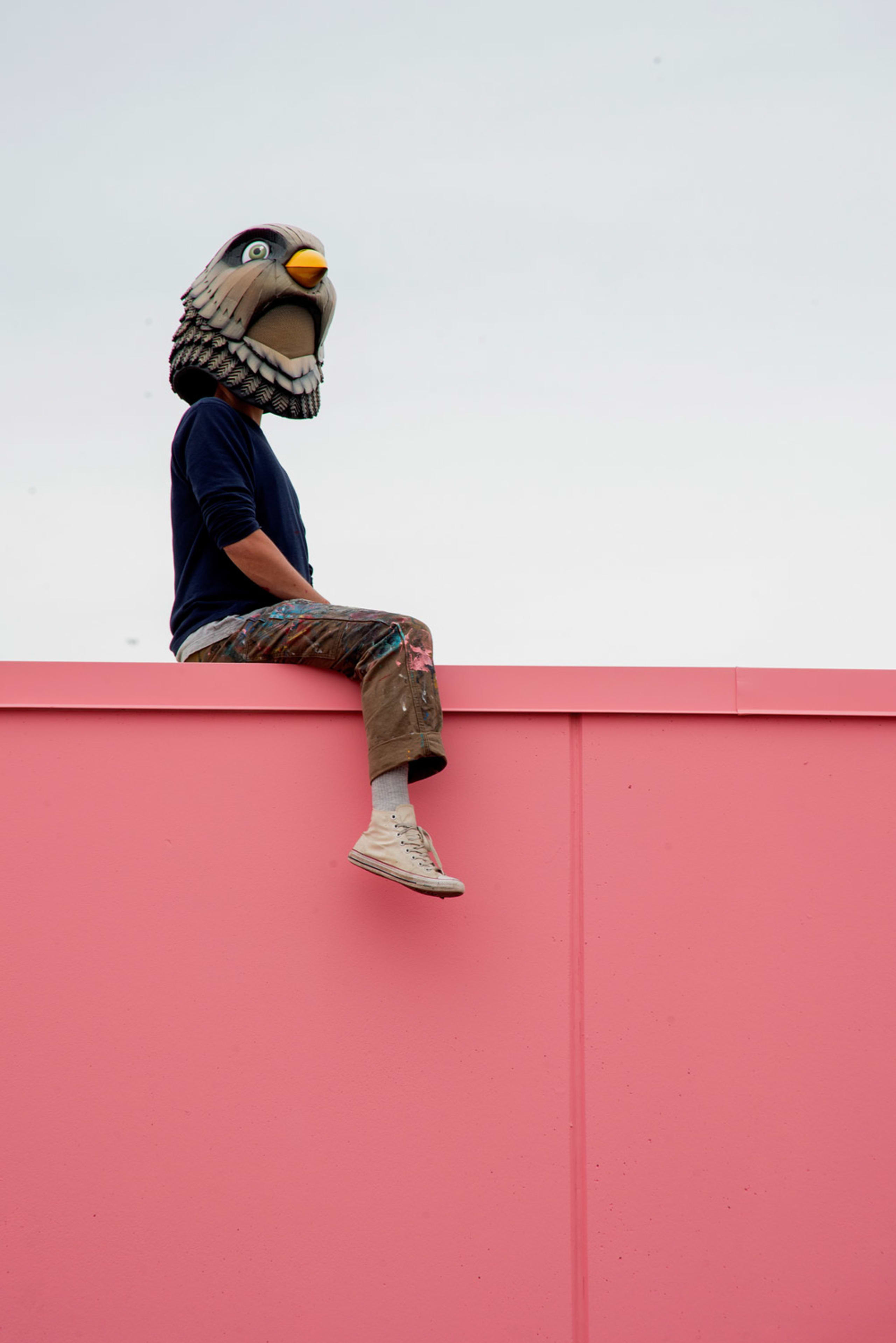 Birdo's profile image