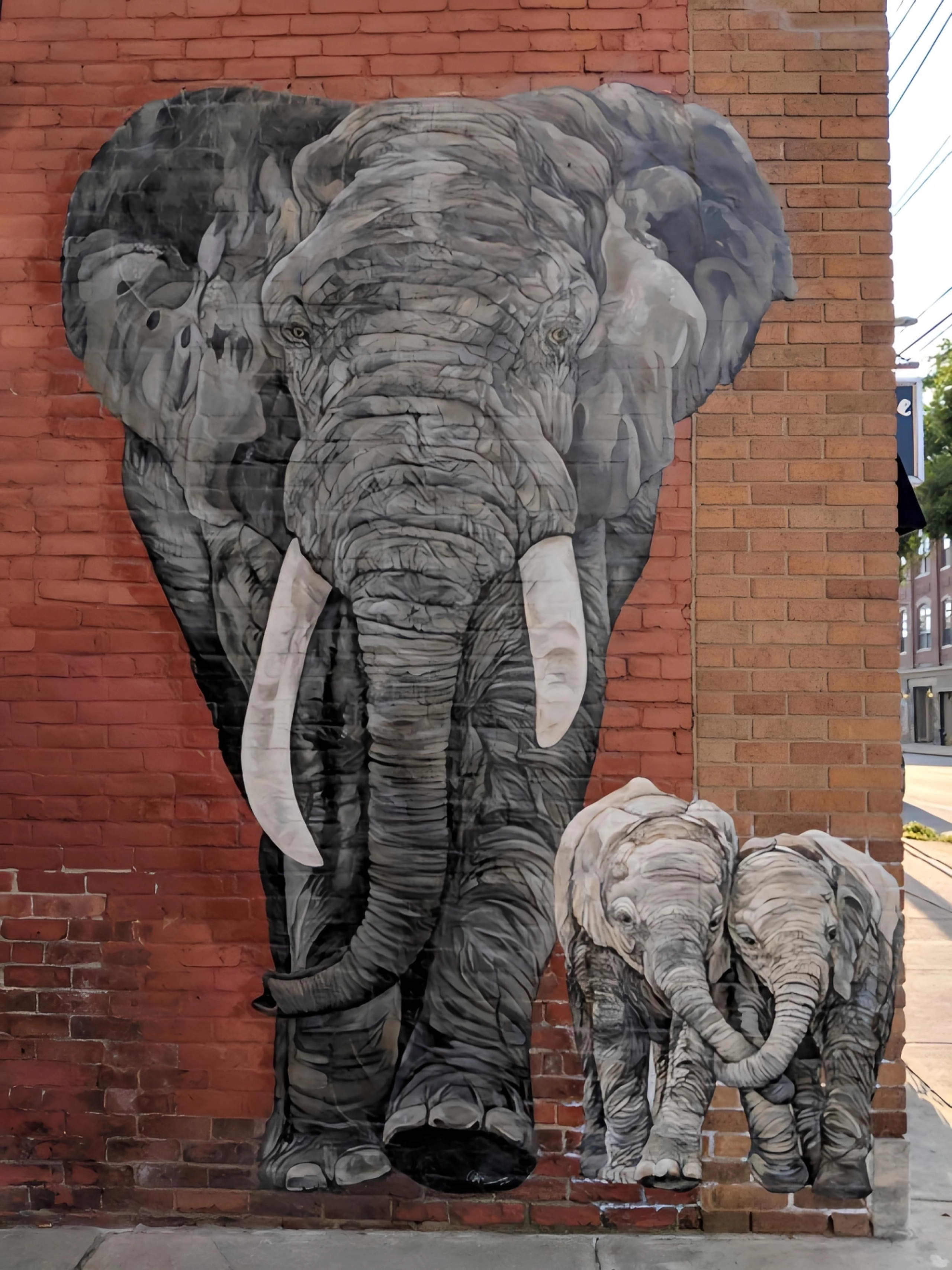 Elephants
