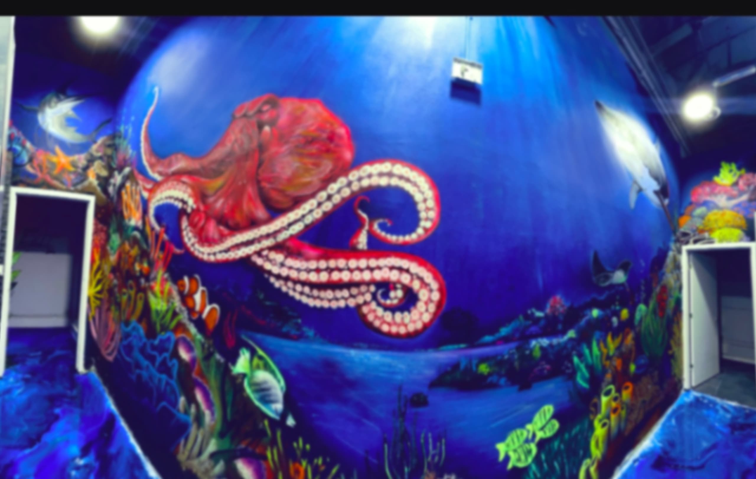 Reef