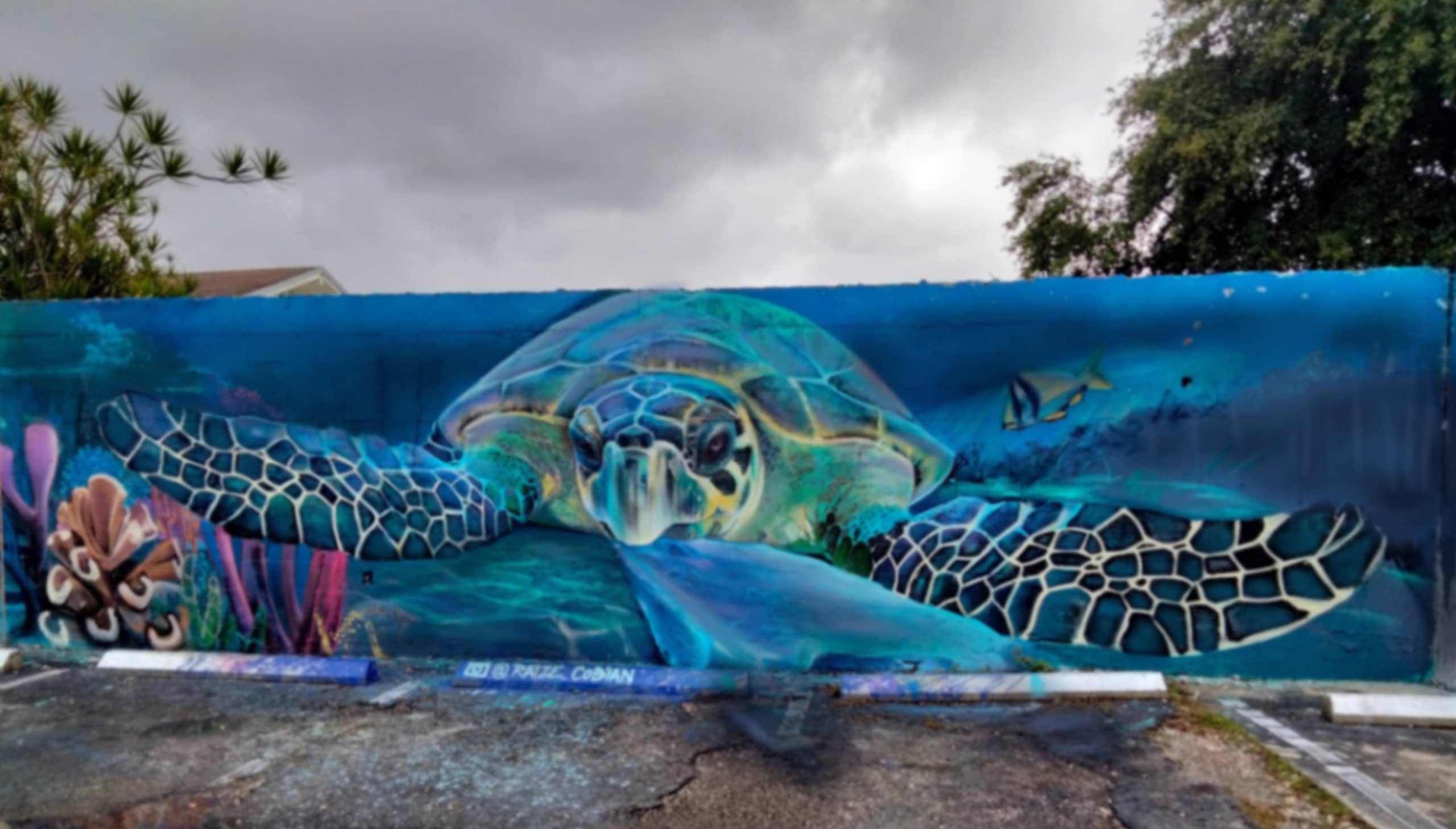 The turtle