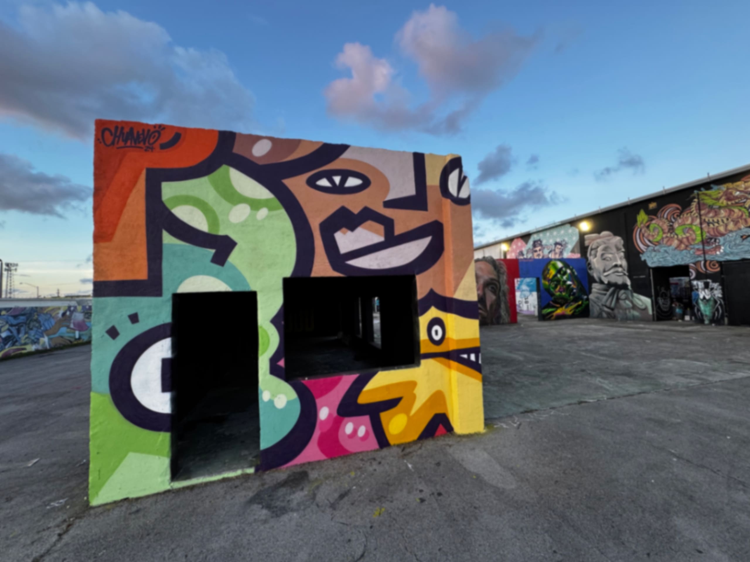 Vibrant Echoes of Urban Expression