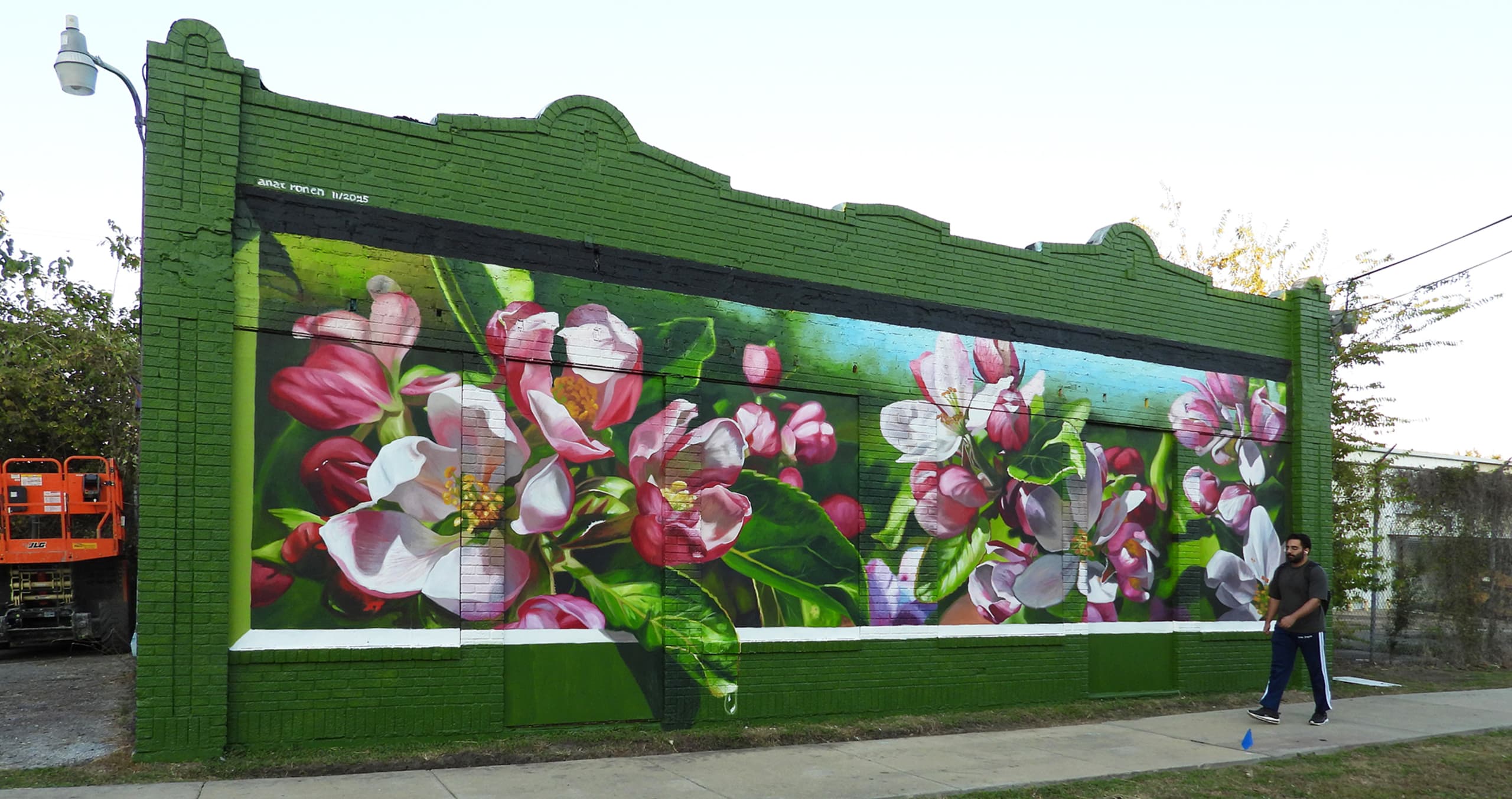 Blossoms of Renewal in Urban Spaces