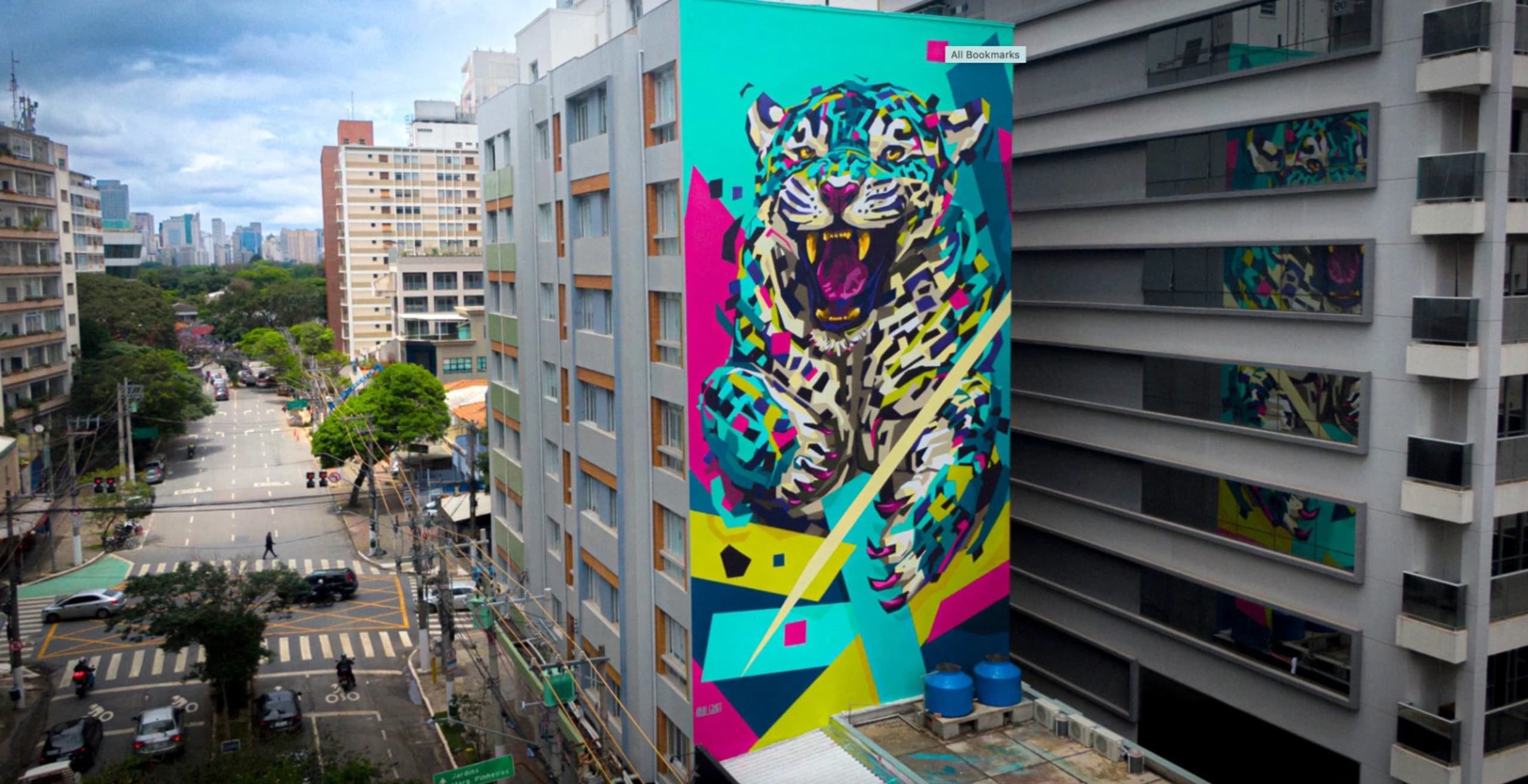 Onça Pintada