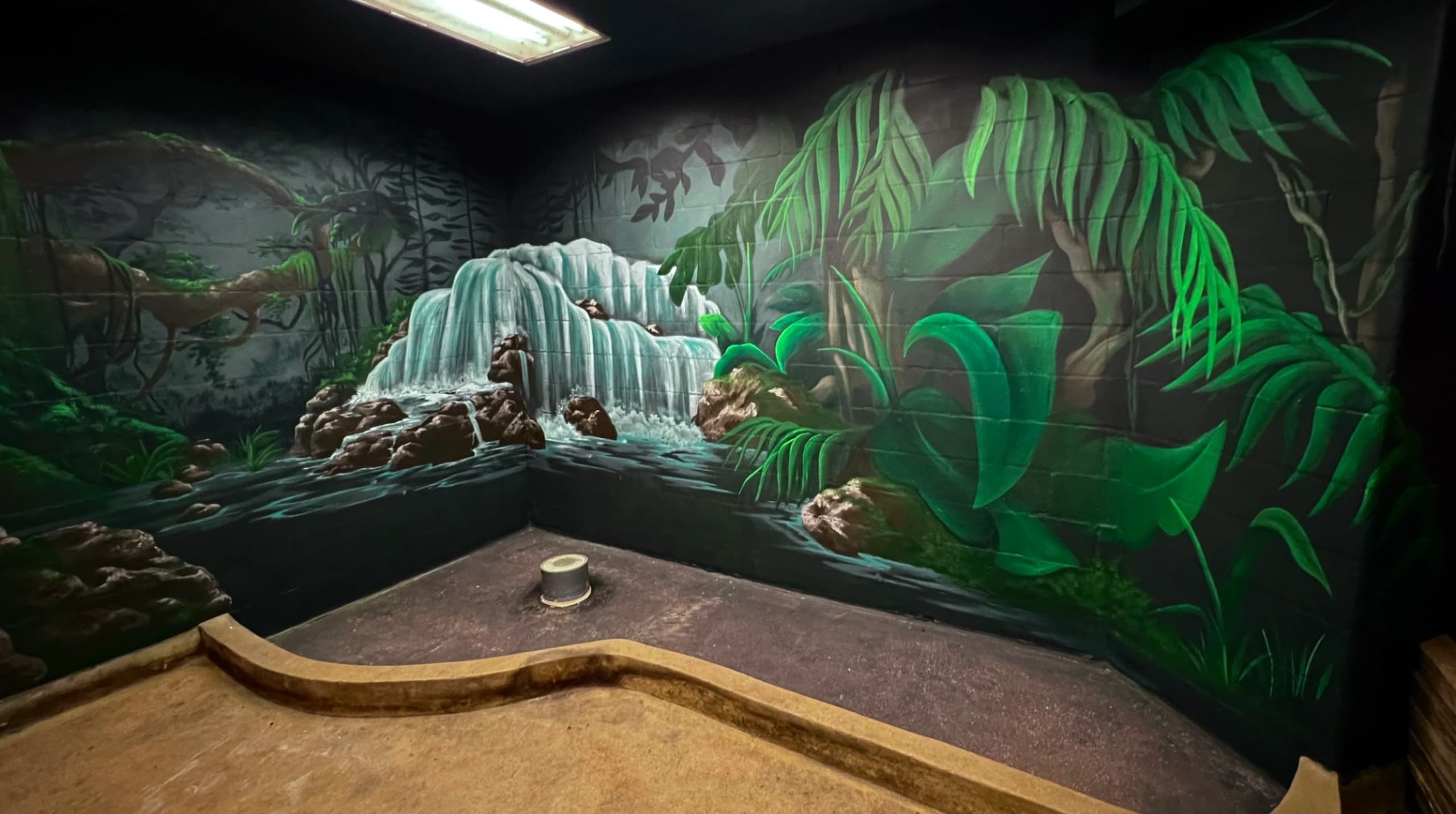Komodo Dragon Exhibit