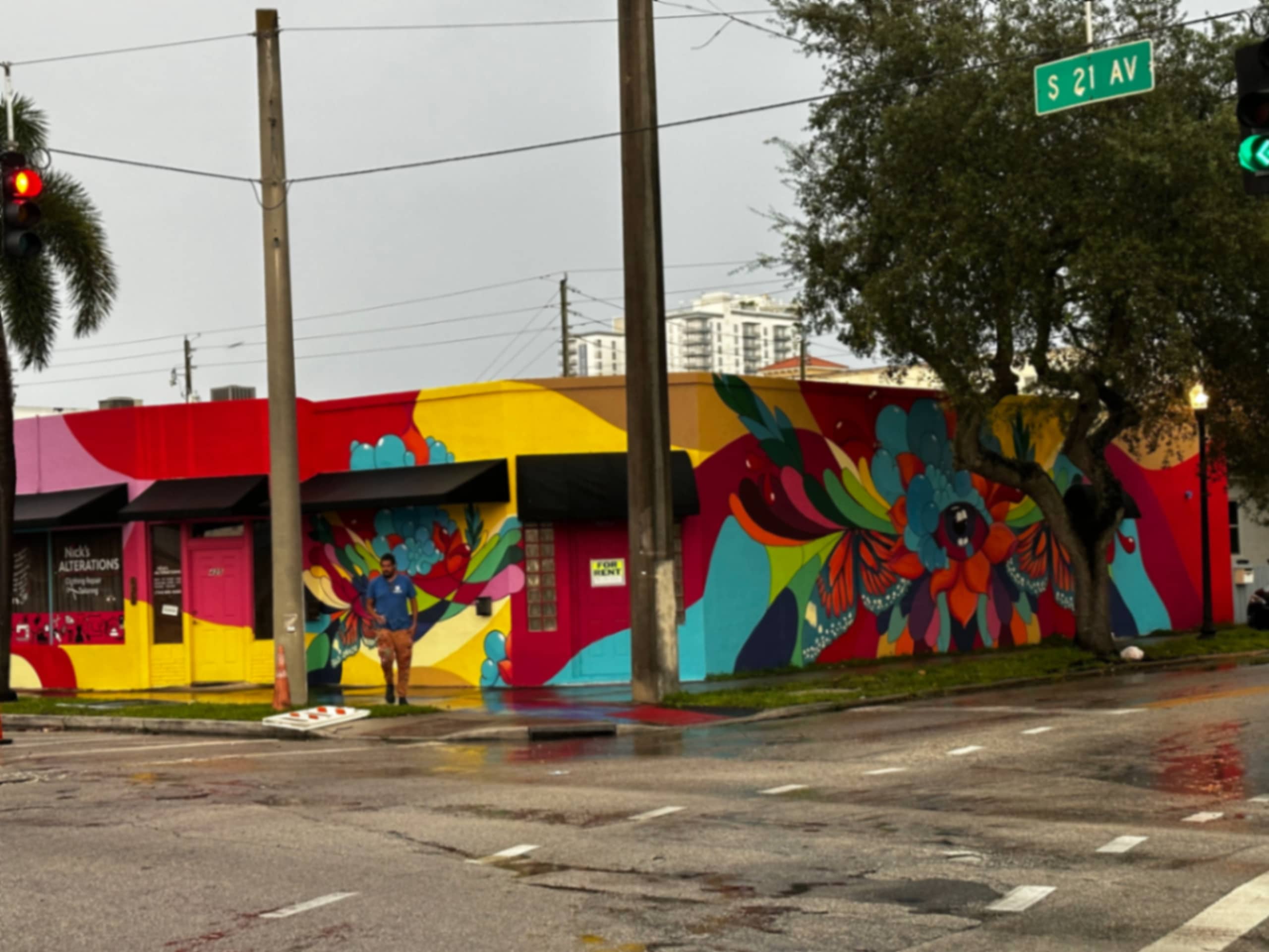 Vibrant Echoes of Nature's Palette