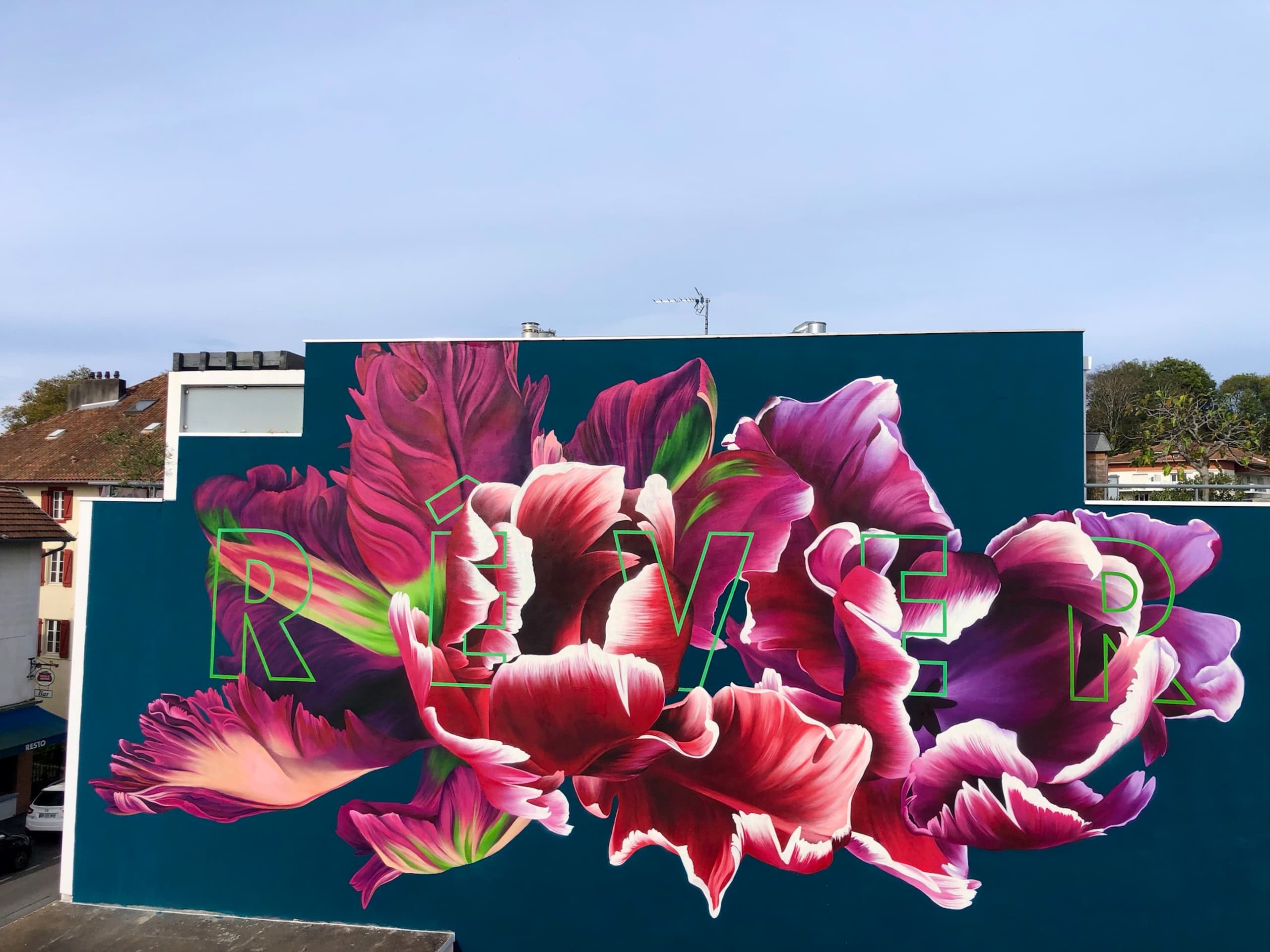 Floral Reverie in Urban Bloom