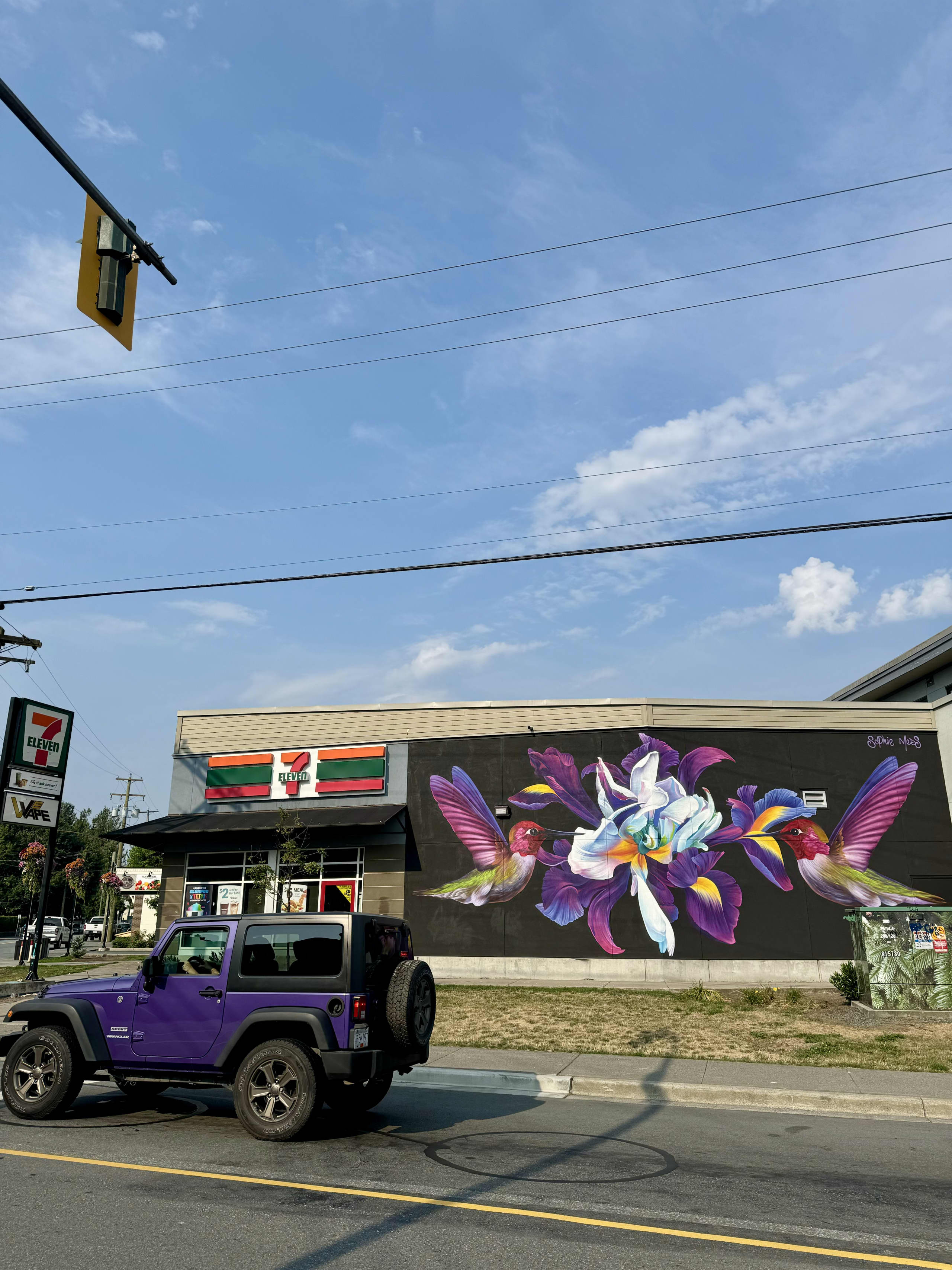 Hummingbirds Dance Among Vibrant Blossoms