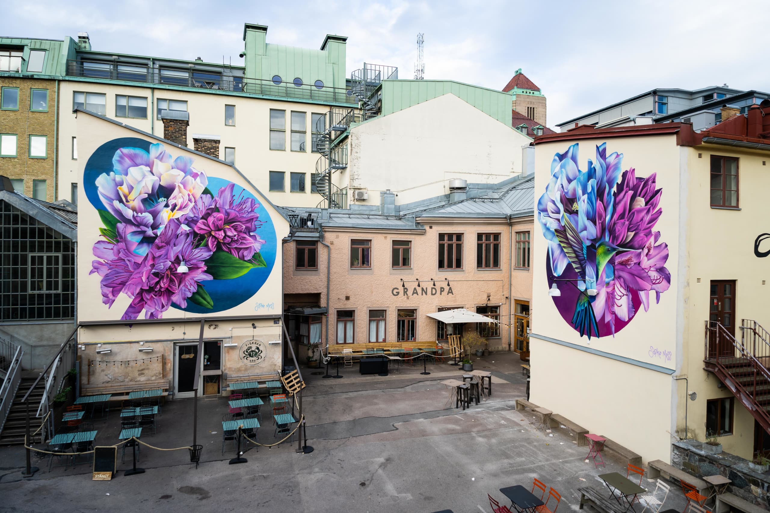 Floral Reverie in Urban Harmony