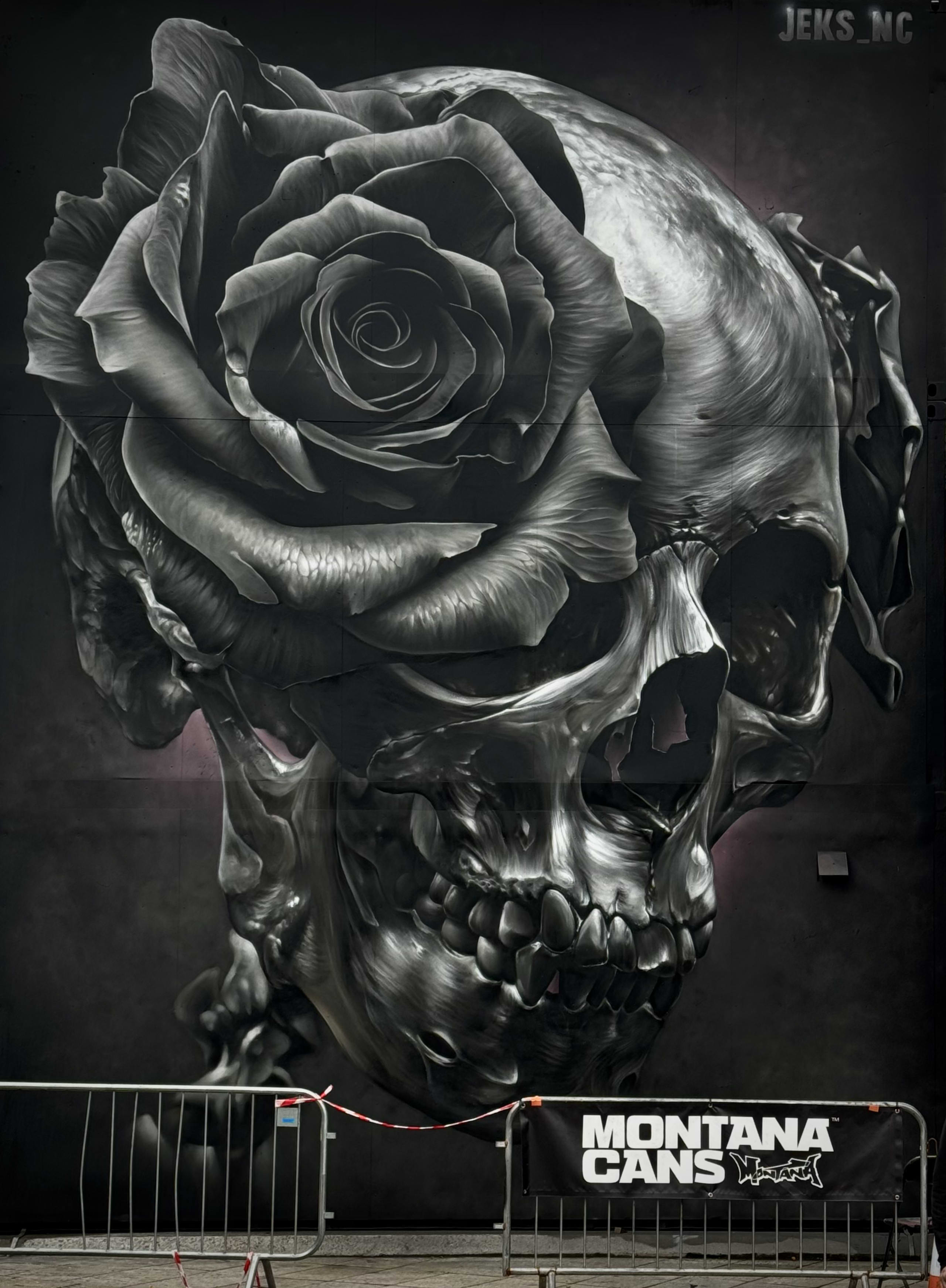 Eternal Beauty in Shadows and Bone