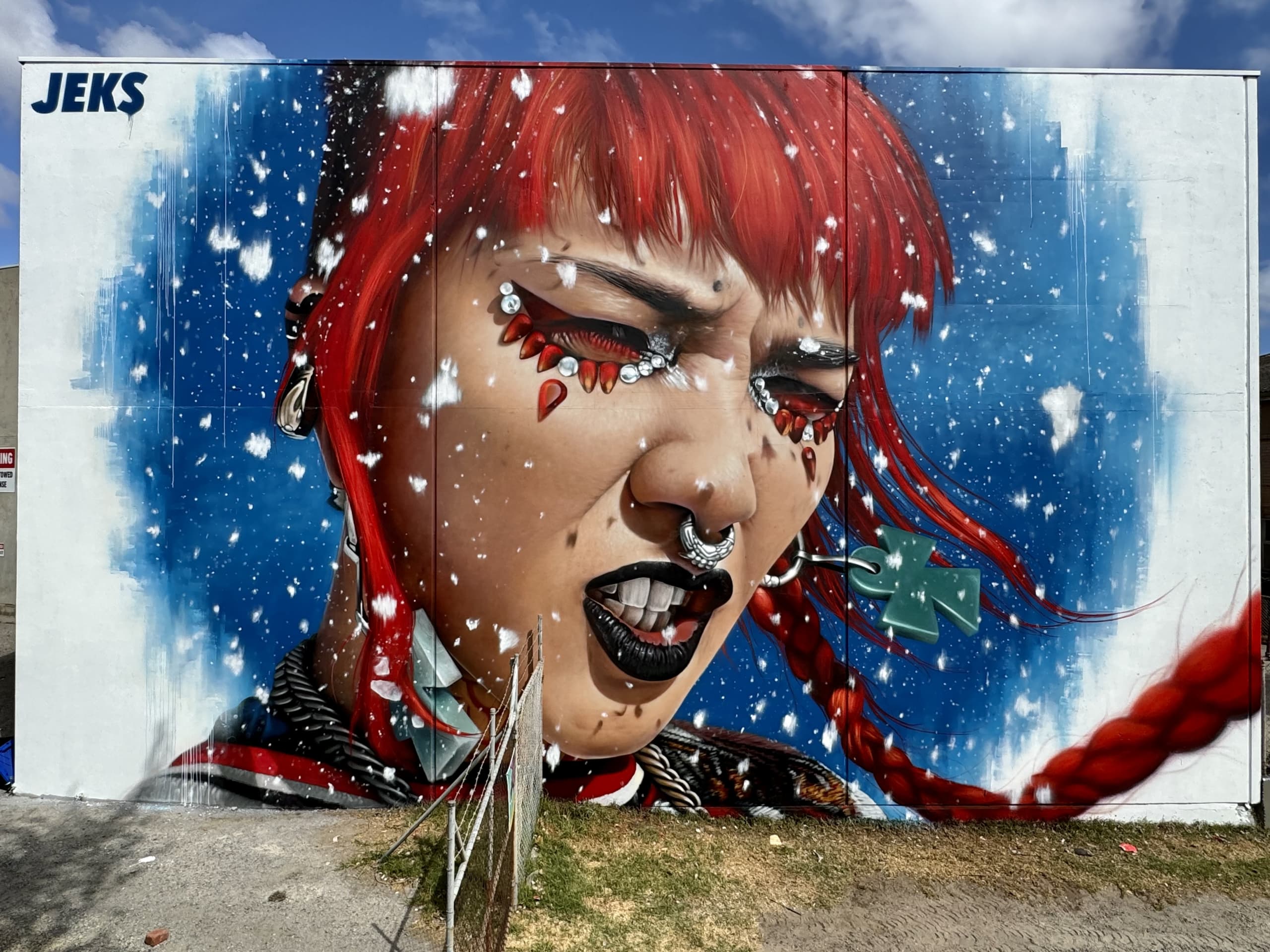 Fierce Beauty Amidst a Snowy Dreamscape