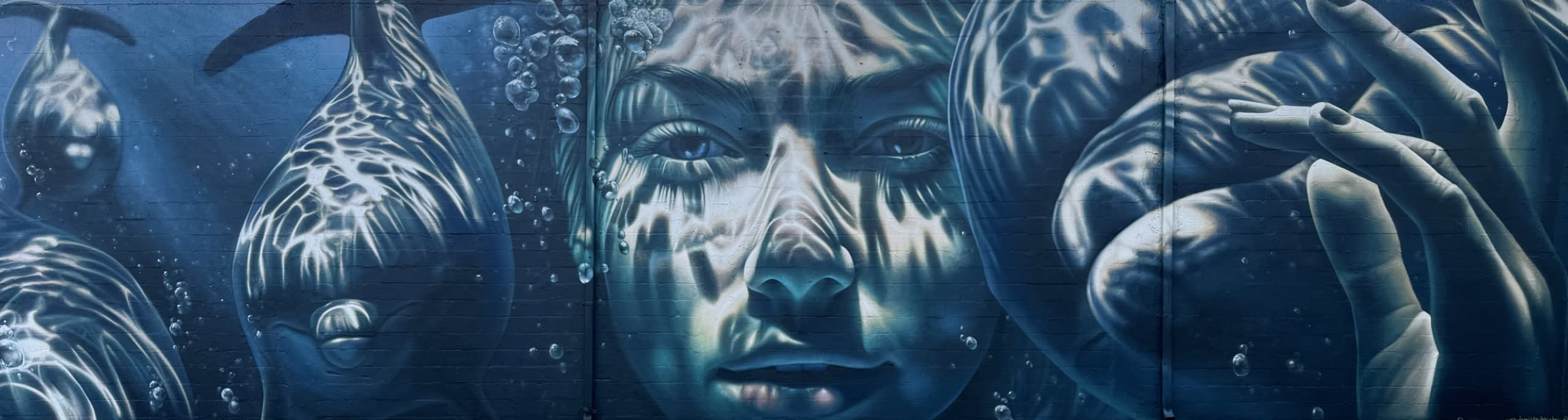 Beneath the Surface of Dreams and Depths