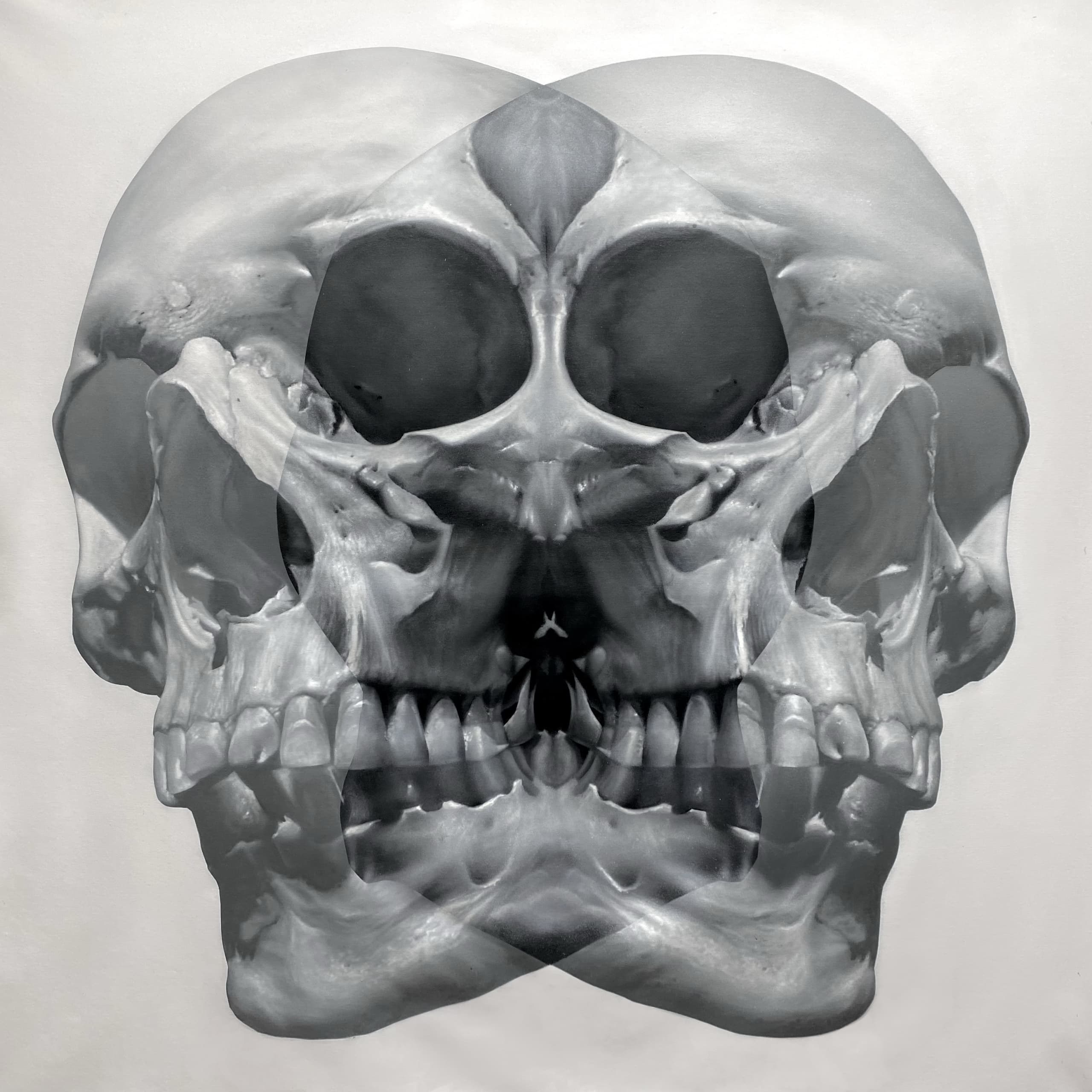 Reflections on Mortality and Duality
