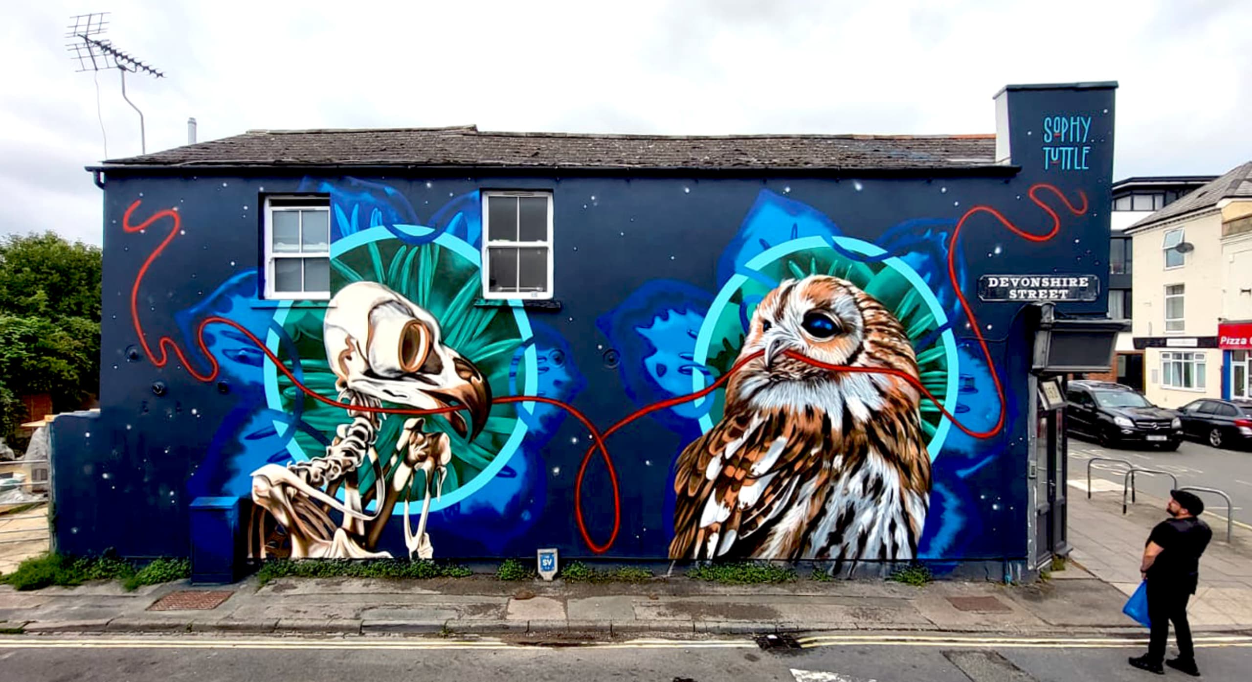 Space Owls