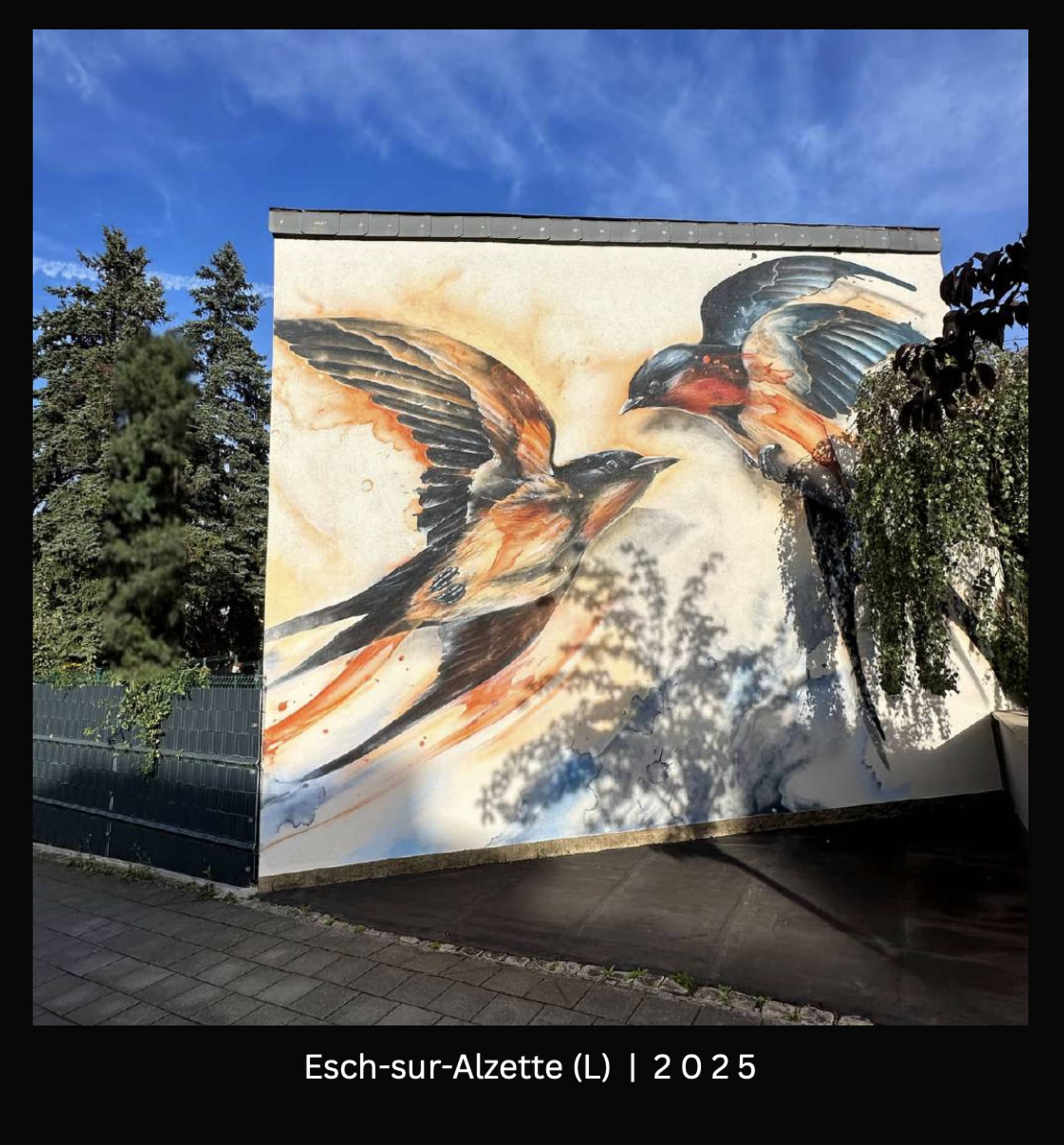 Wings of Harmony in Urban Flight