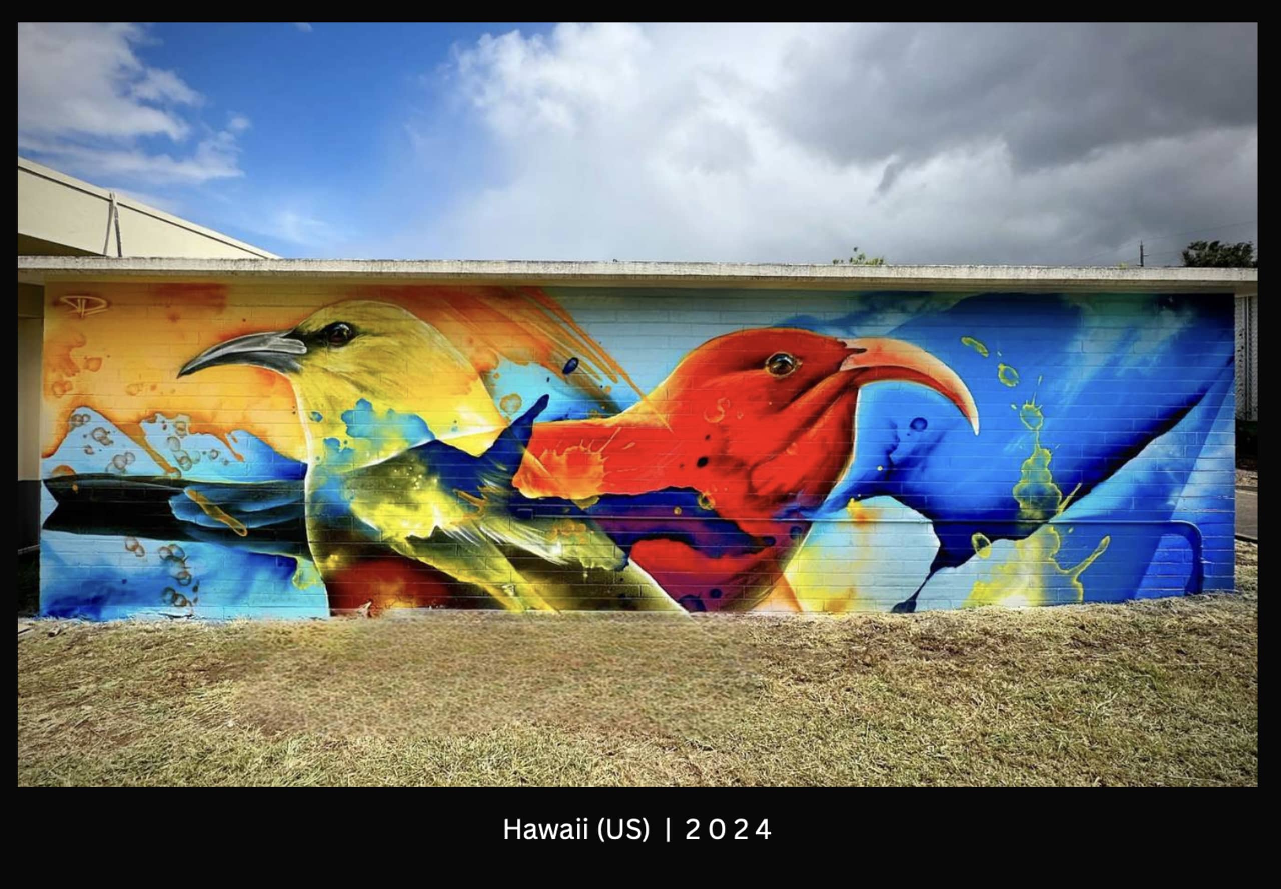 Vibrant Wings of Hawaiian Harmony