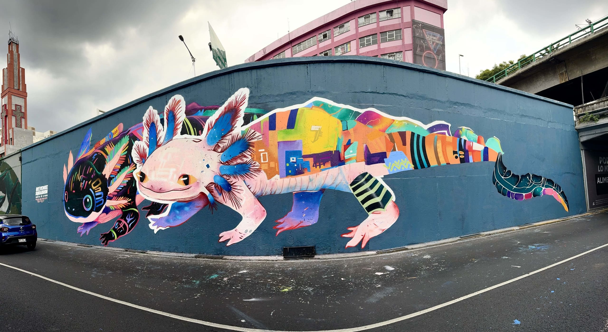 Vibrant Echoes of Urban Nature