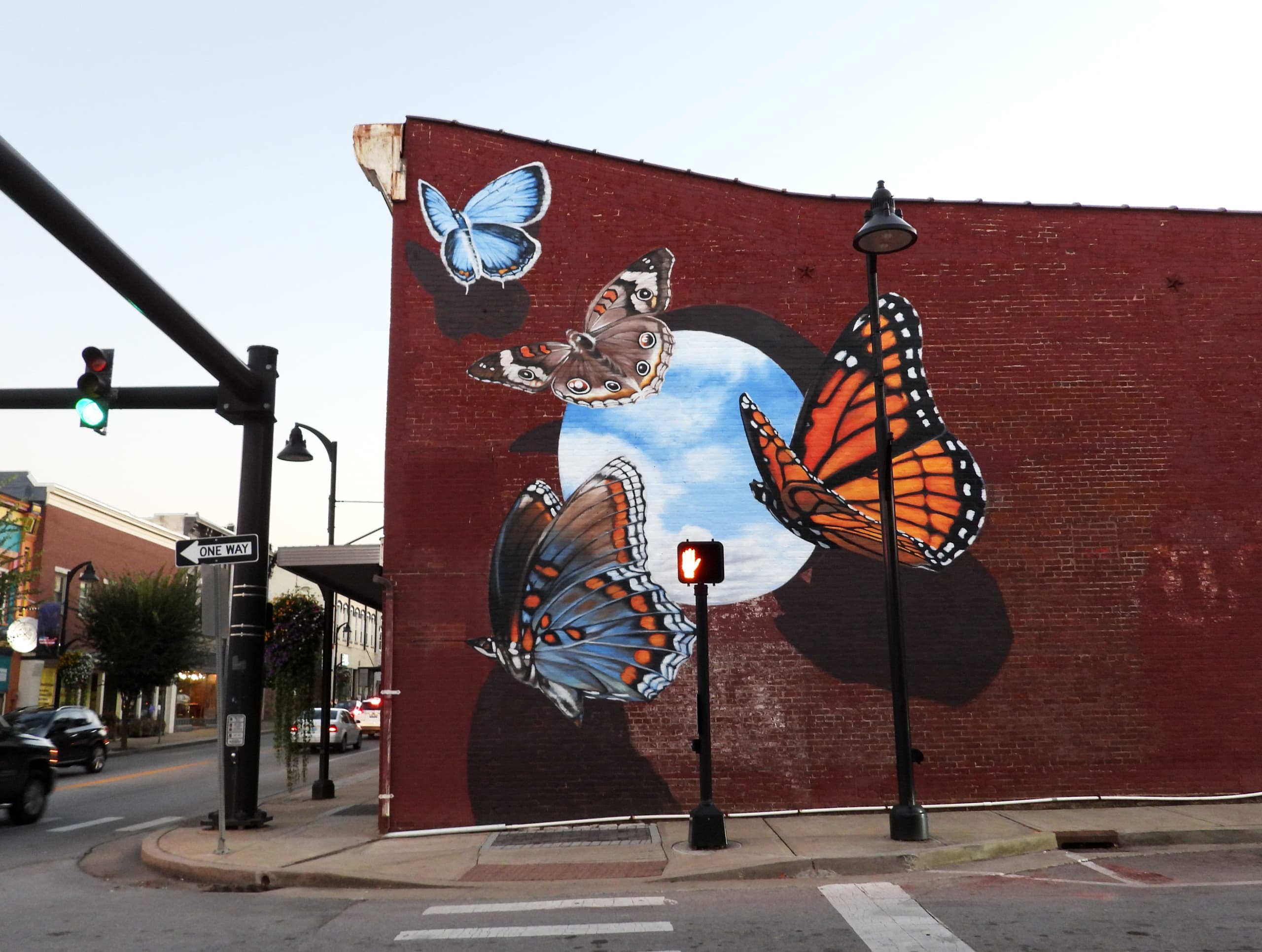 Kentucky butterflies
