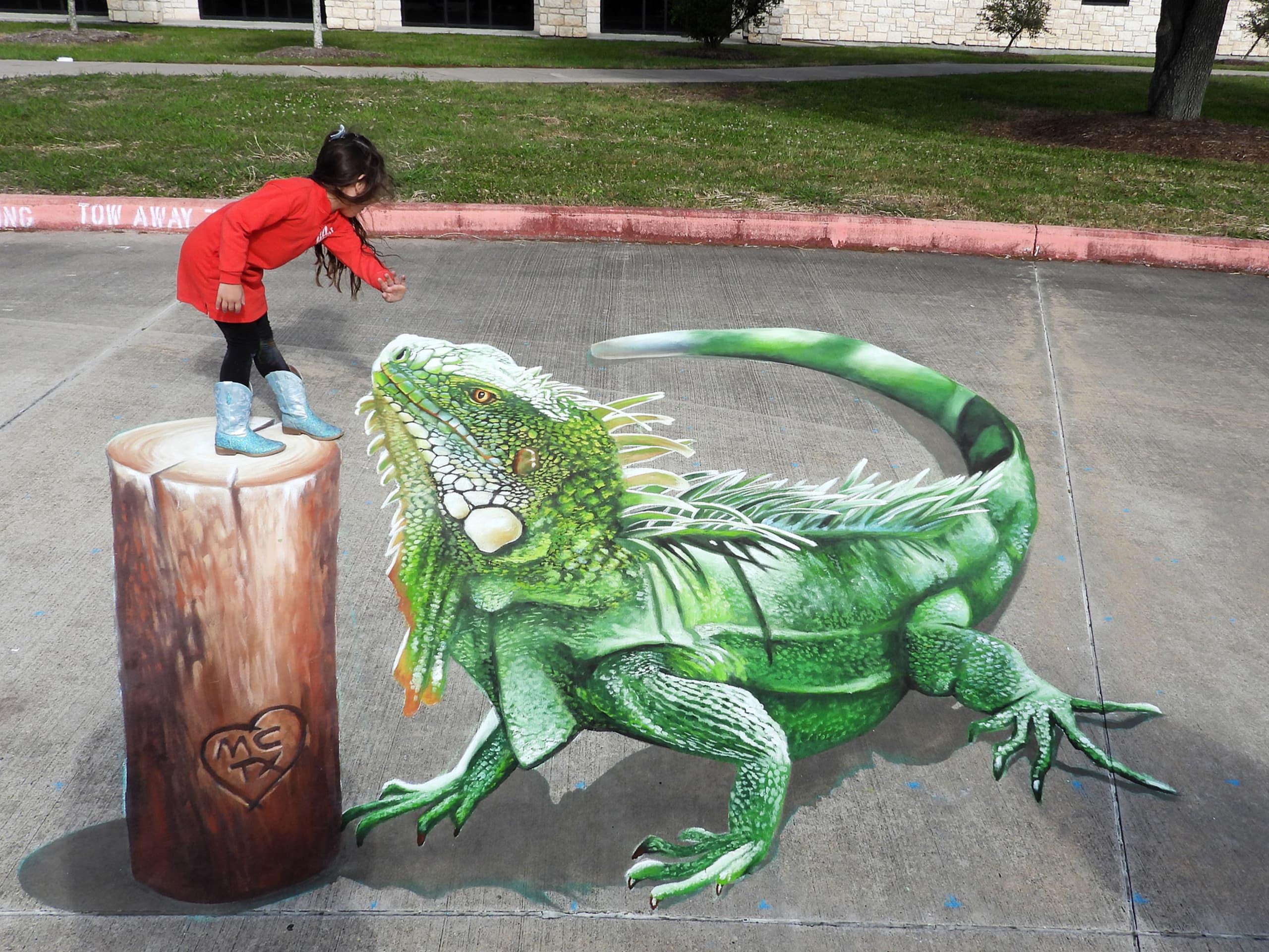 The iguana