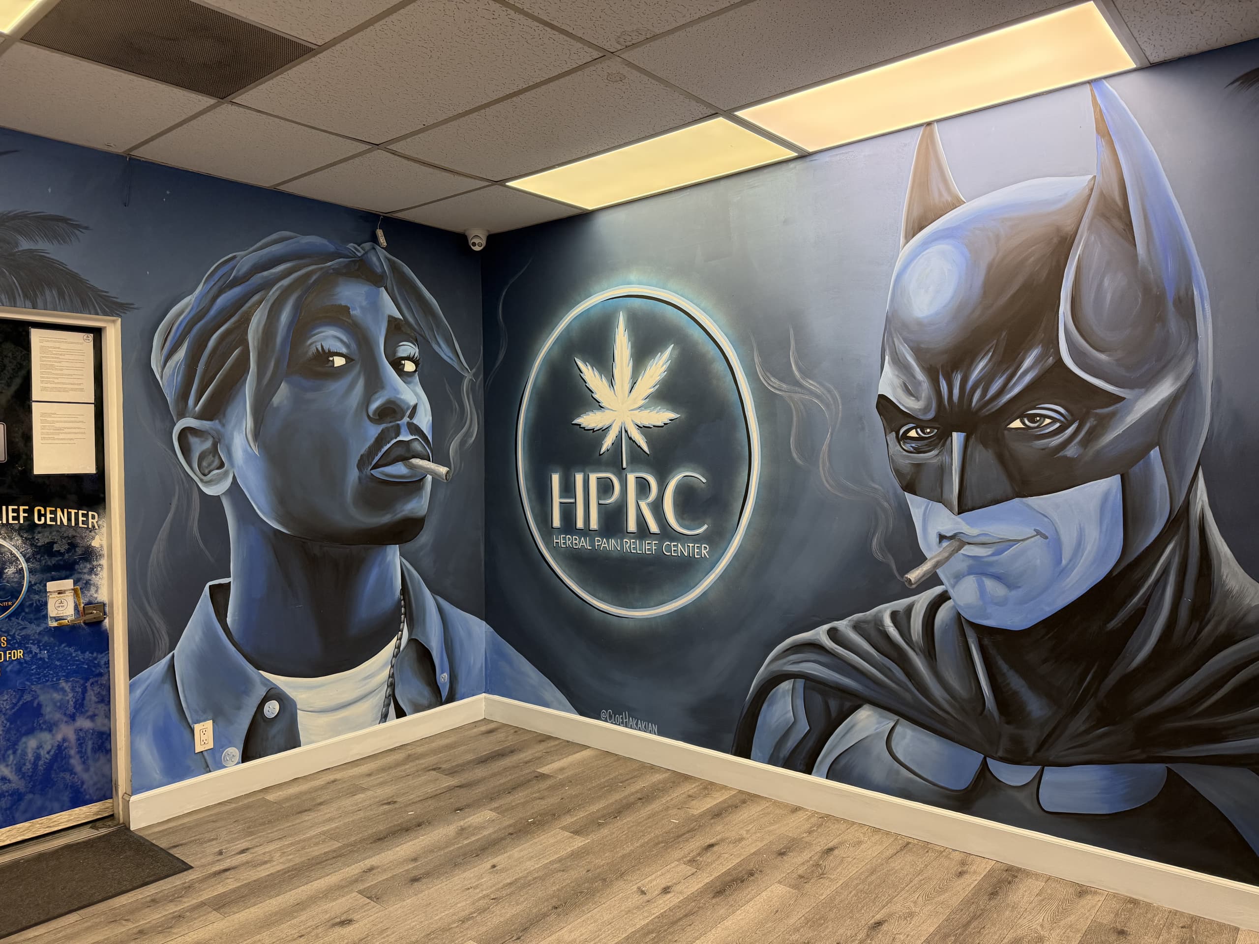 Icons of Resilience and Rebellion